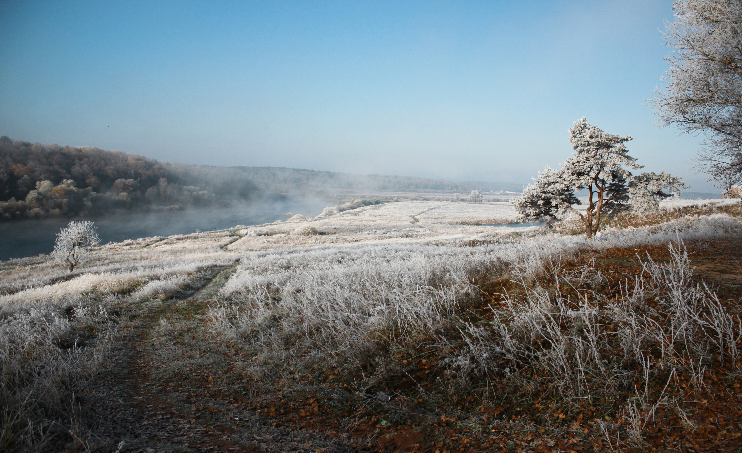 Природа. Фотограф-ретушер Анастасия Суровцева
