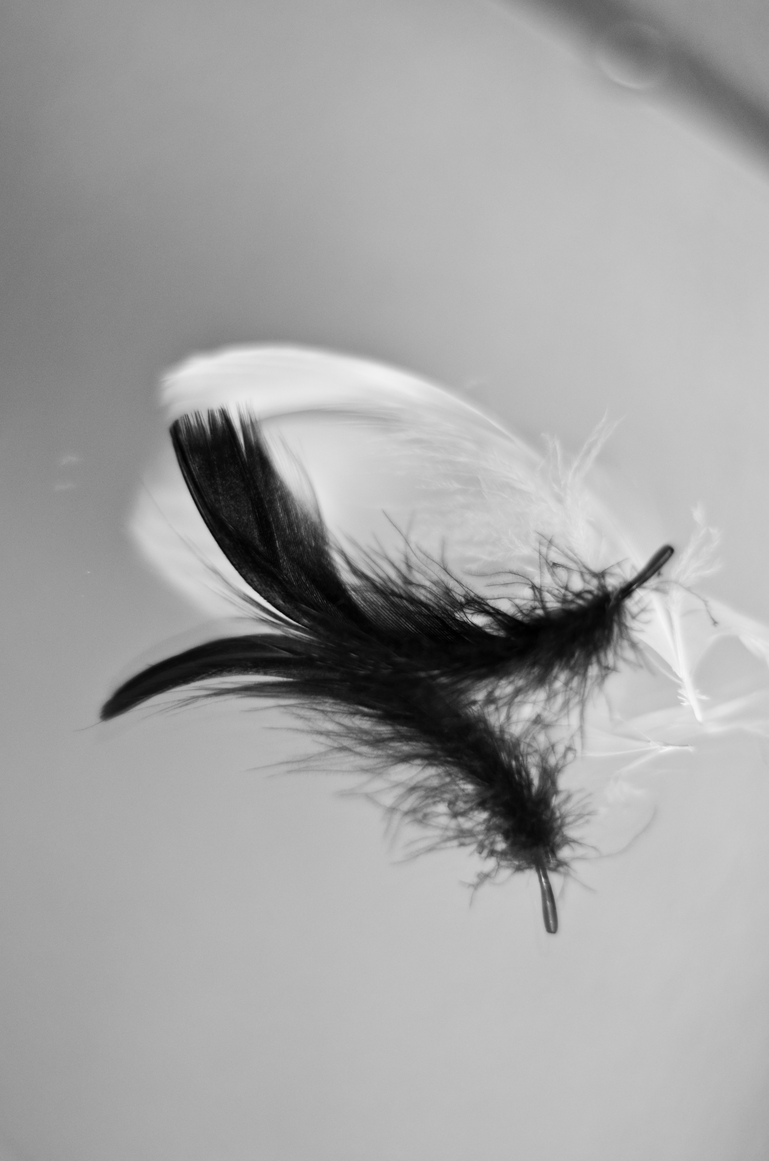 Другое. Фотограф-ретушер Анастасия Суровцева