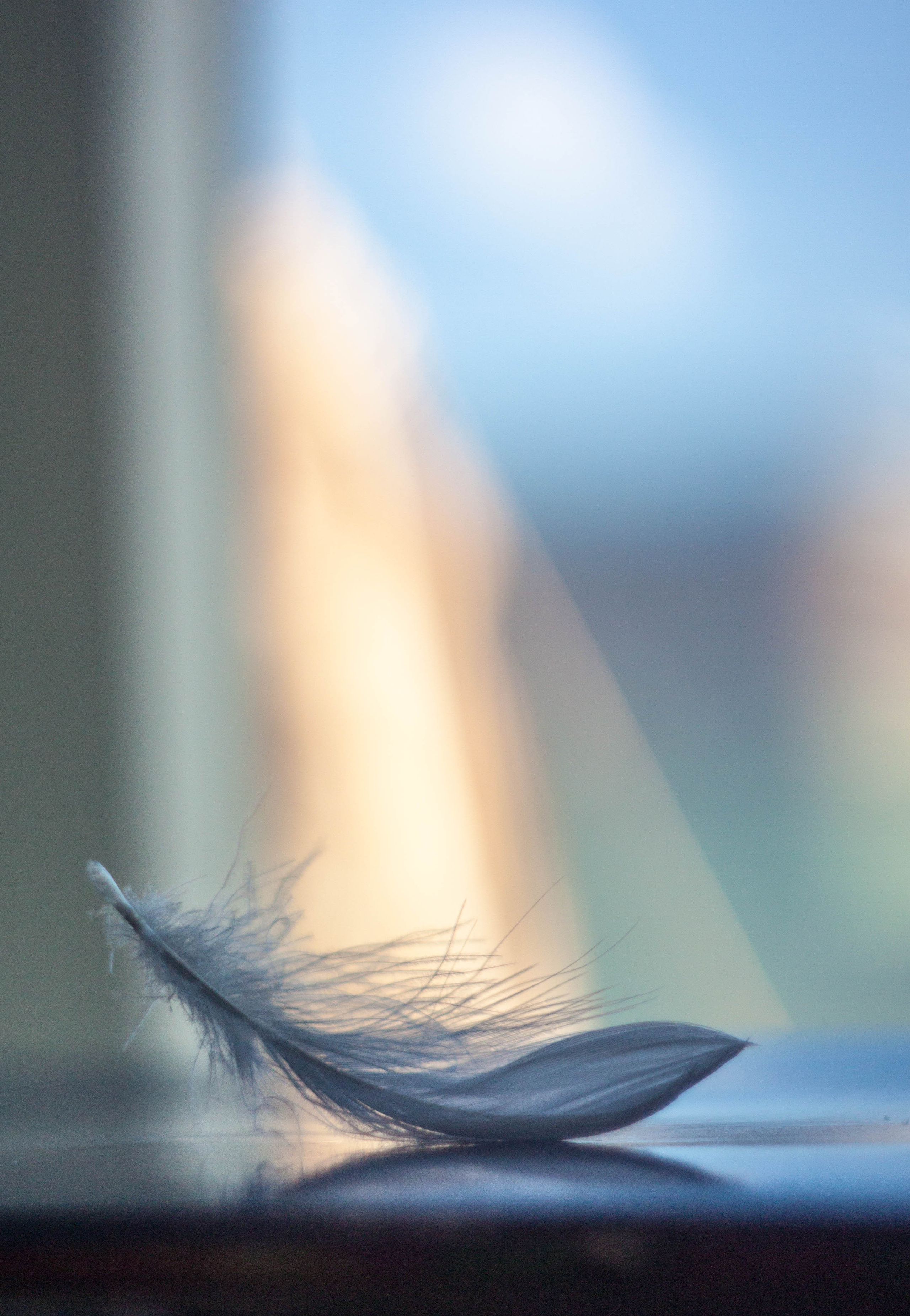 Другое. Фотограф-ретушер Анастасия Суровцева