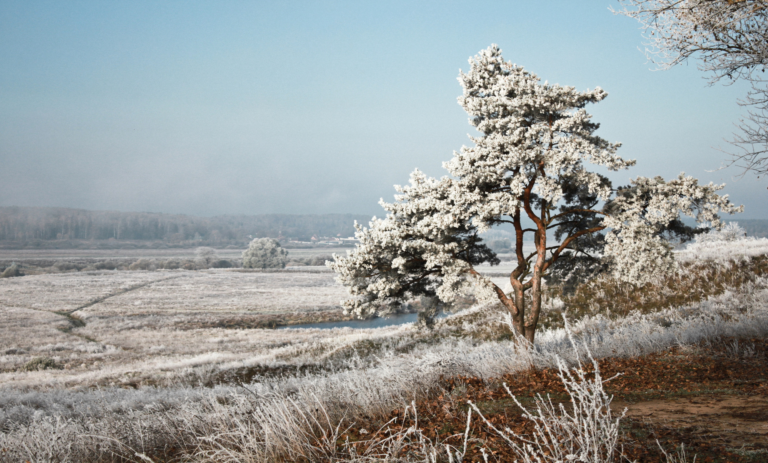 Природа. Фотограф-ретушер Анастасия Суровцева