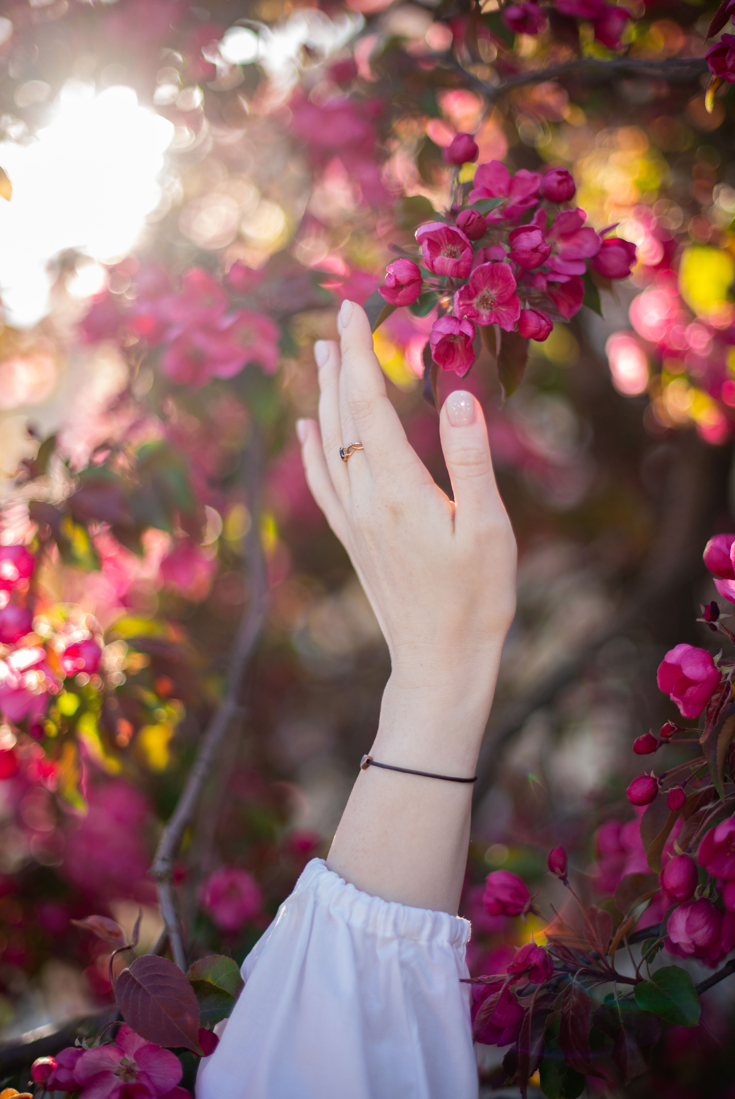 Евгения. Фотограф-ретушер Анастасия Суровцева