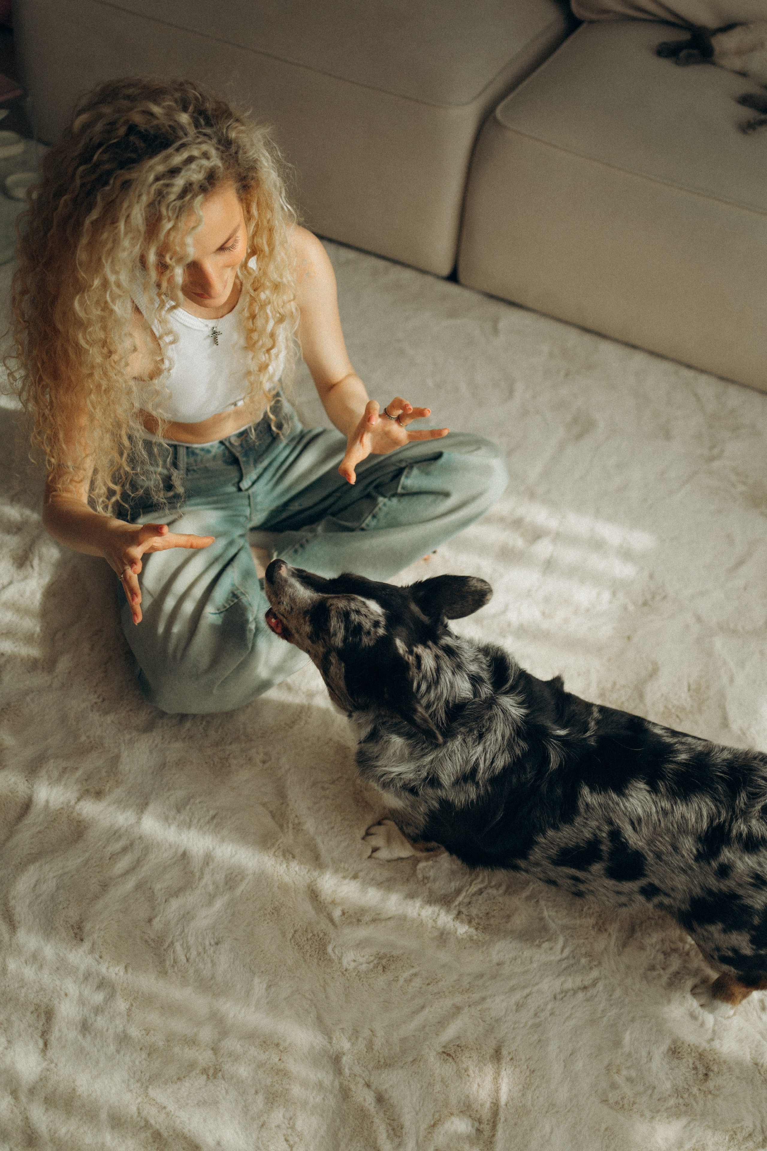 Бэлла, Деми и Луна. Фотораф — анималист Мария Шистка