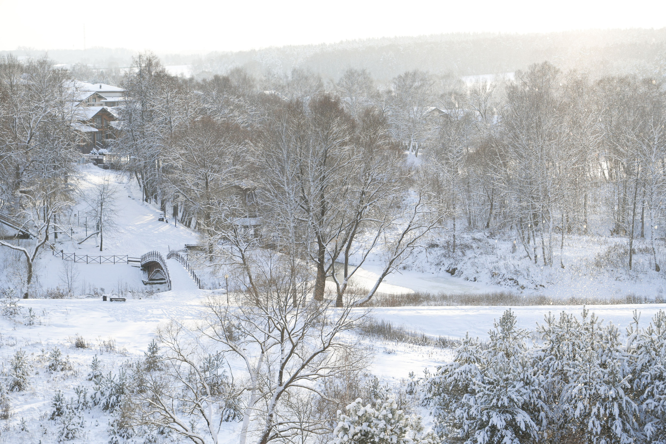 Рождествено Зима 2026. Фотограф Максим Татаринов