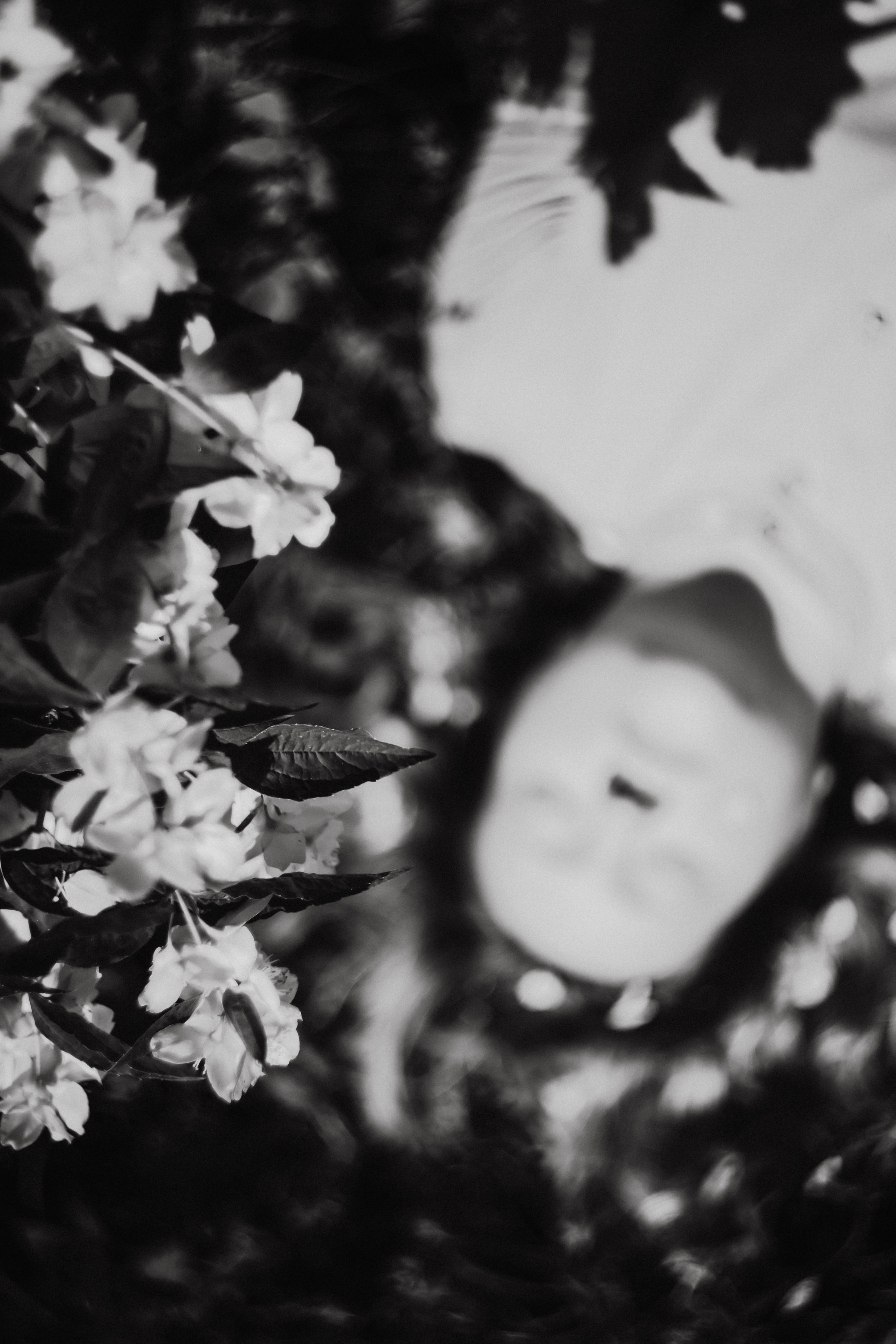 Таня в Жасмине. Фотограф в Нижнем Новгороде