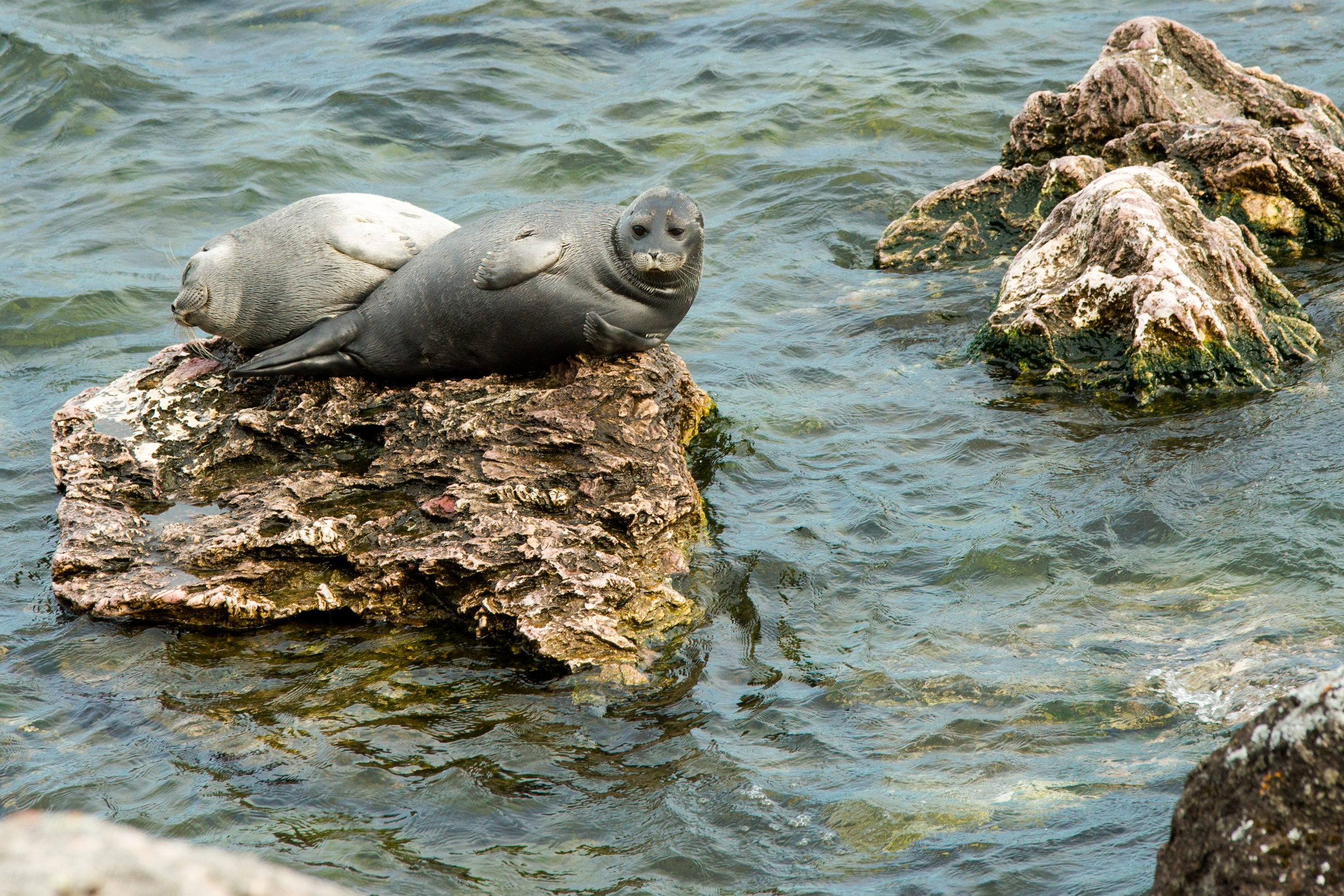 Фотографии озера Байкал. Петр Ступень. Свадебное, семейное фото и видео. Москва. Краснодар