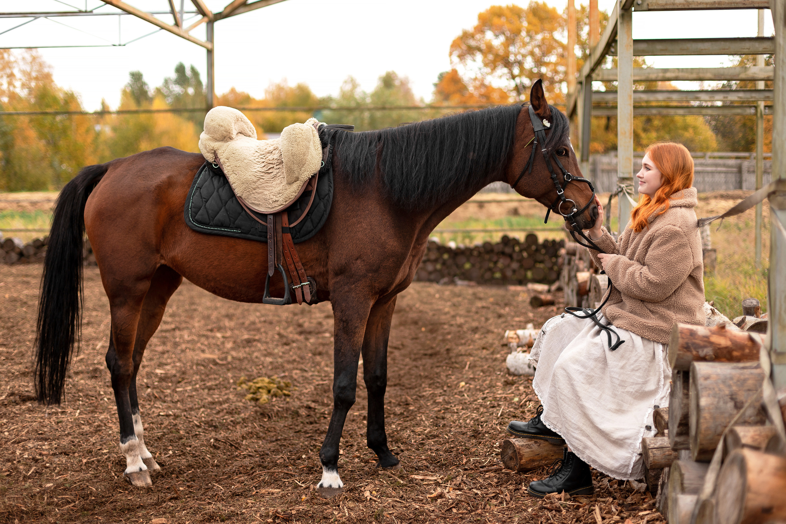 #лошадь #клубкентаврик #осень. КрисТина Олейник — твой фотограф Санкт-Петербург/Москва/Омск