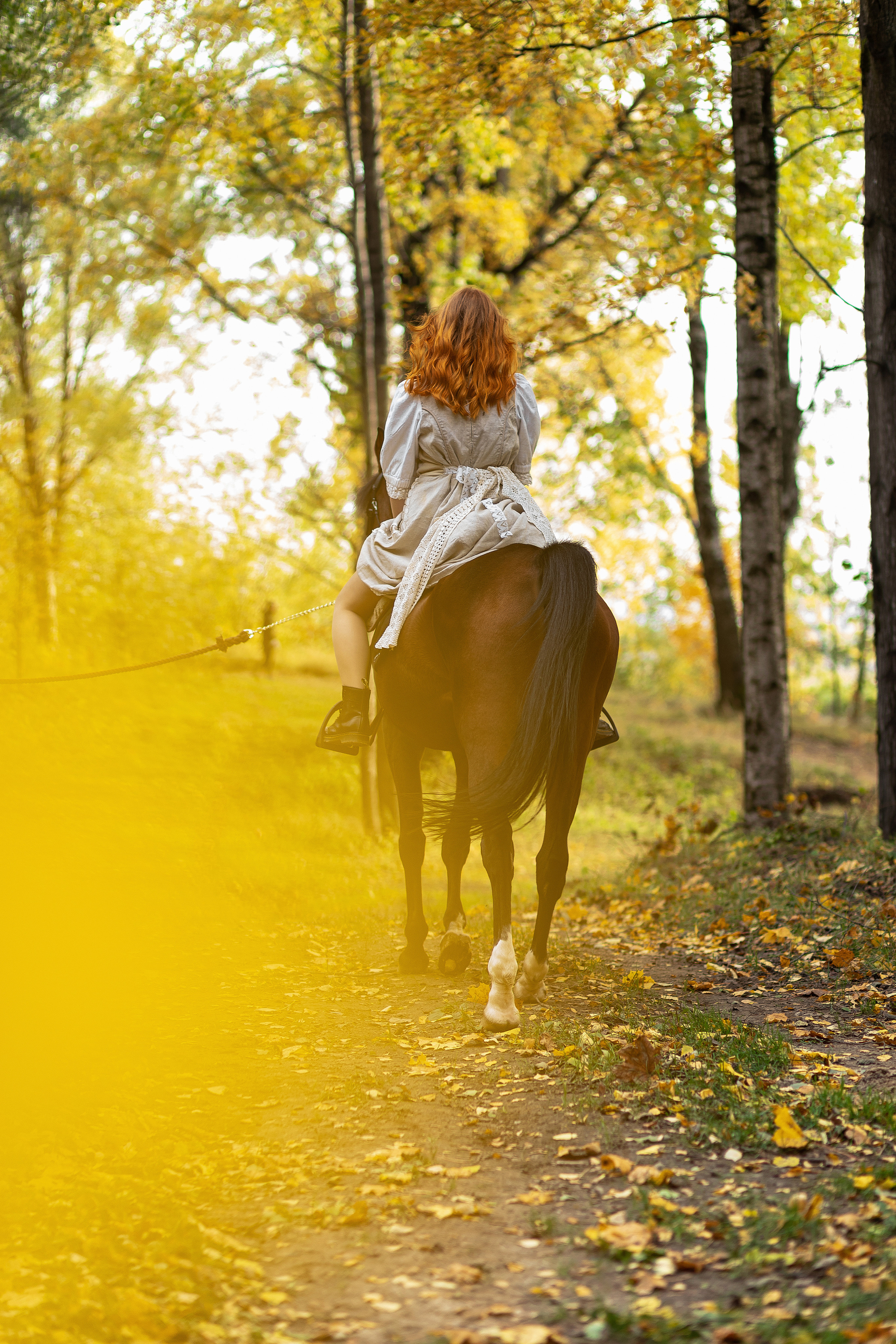 #лошадь #клубкентаврик #осень. КрисТина Олейник — твой фотограф Санкт-Петербург/Москва/Омск