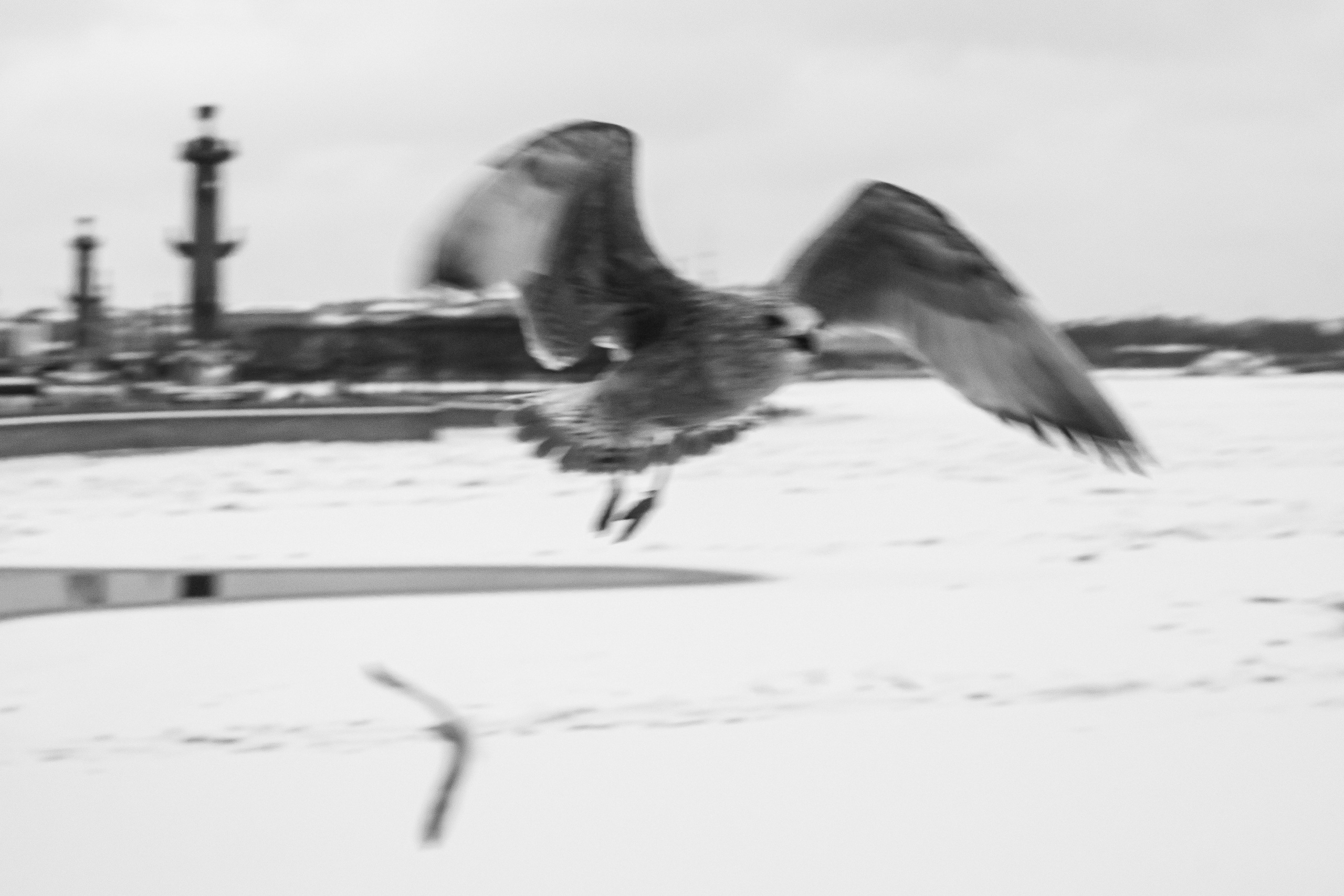 Dimitri Bakhtadze, black and white photos. Dimitri Bakhtadze photographer