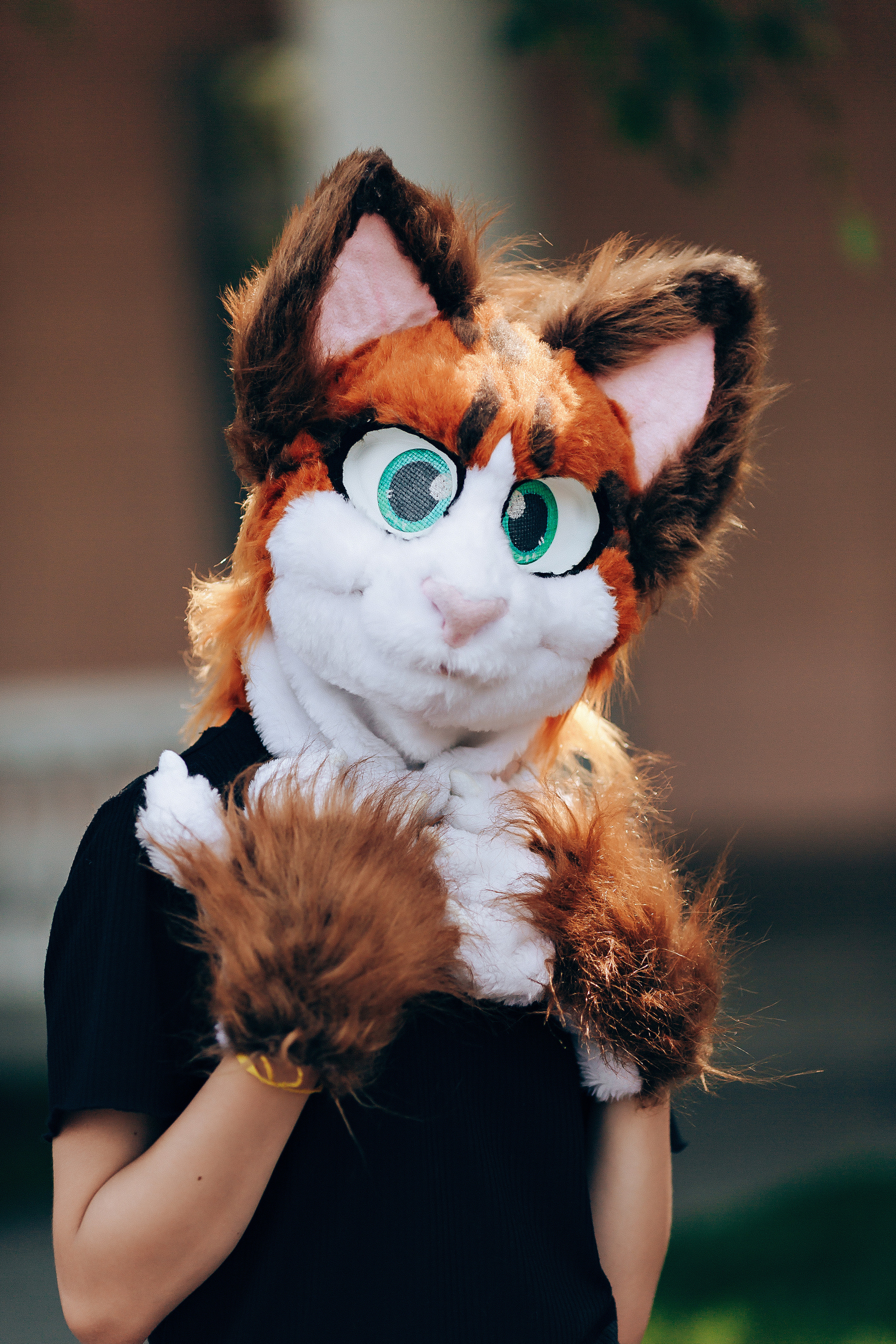 Фурри-фотопрогулка. Фотограф Виктория Темирова Екатеринбург