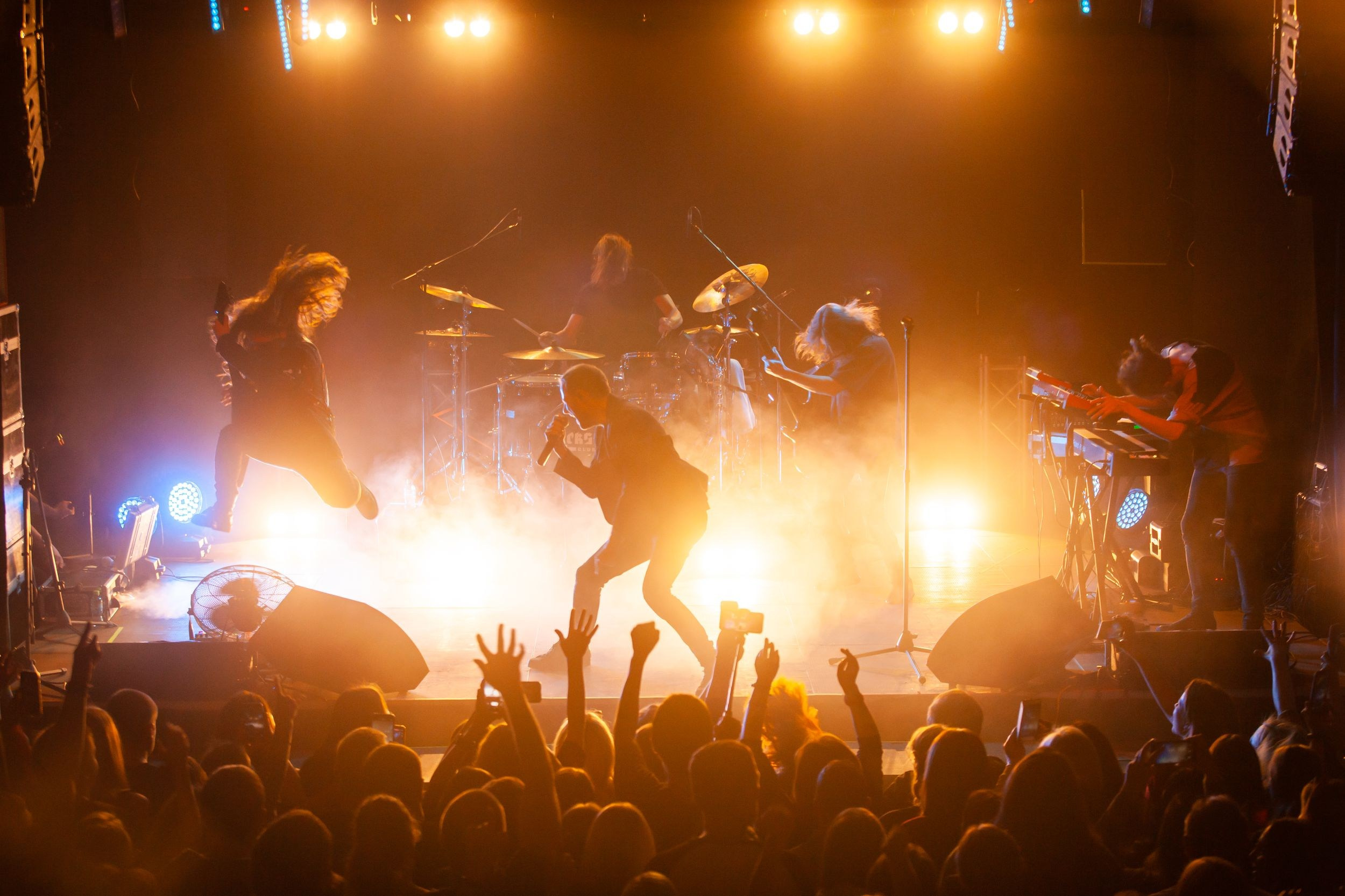 Animal ДжаZ. Репортажный фотограф Алексей Пирязев