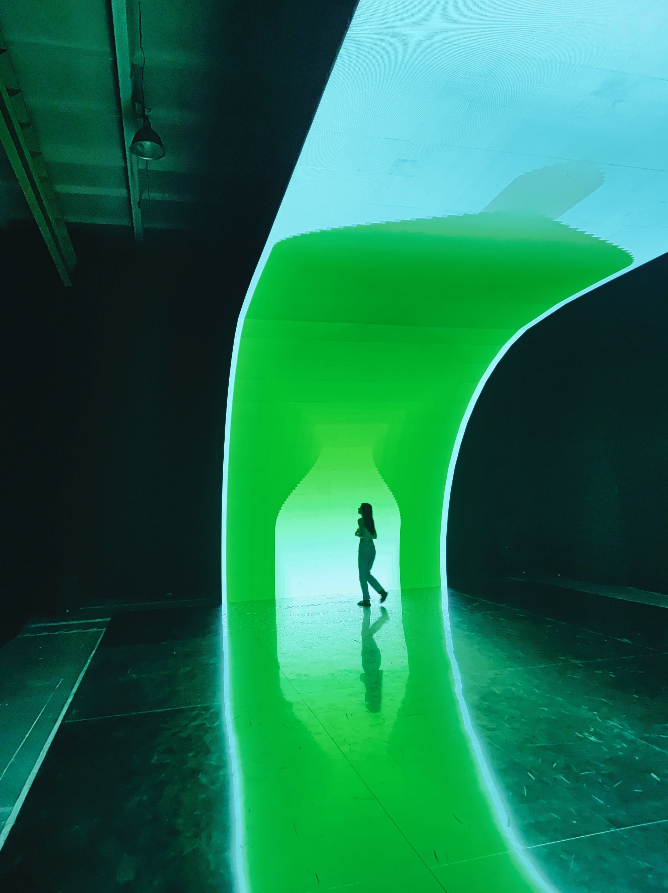 Намобилкус питерский. Репортажный фотограф Алексей Пирязев