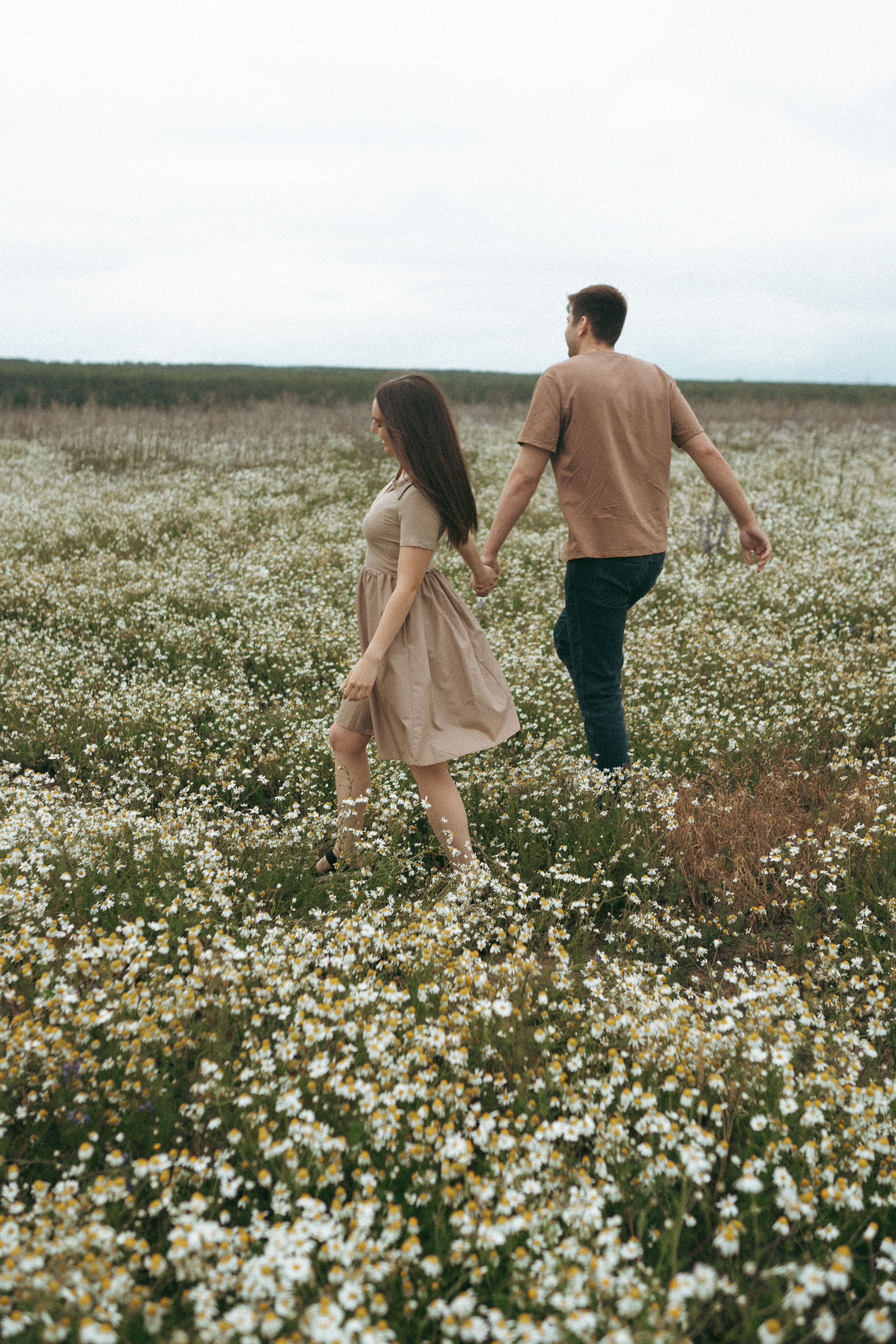 Ромашки. Фотограф Мария Зайчик