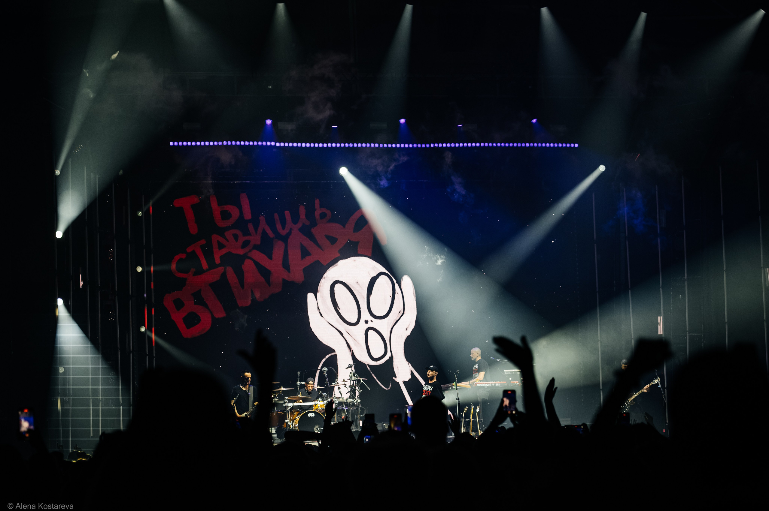 Звери. Алена Костарева. Фотограф в Ростове-на-Дону