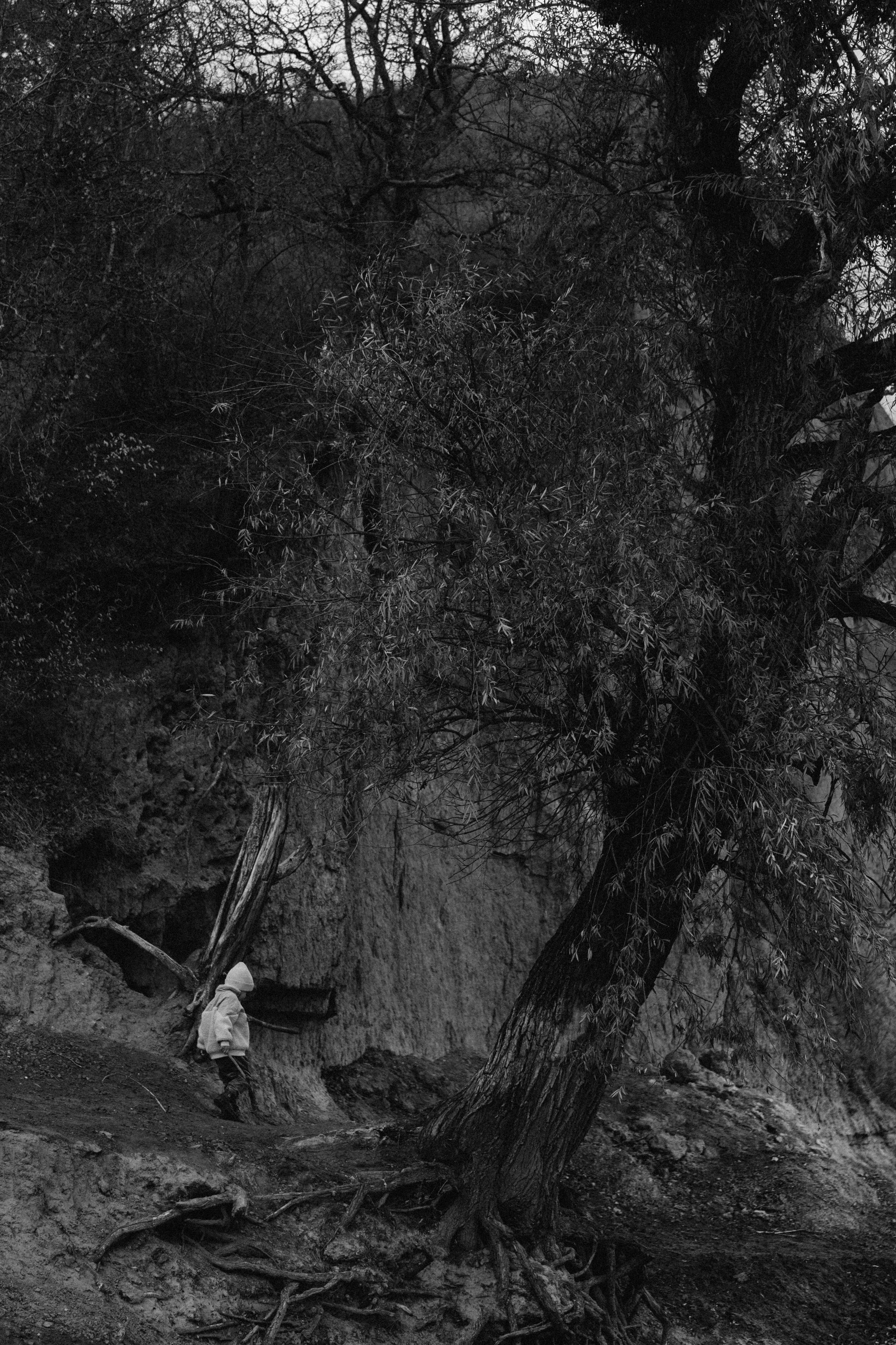 Владик. 4 года. Кристина Пархоменко. Фотограф. Краснодар