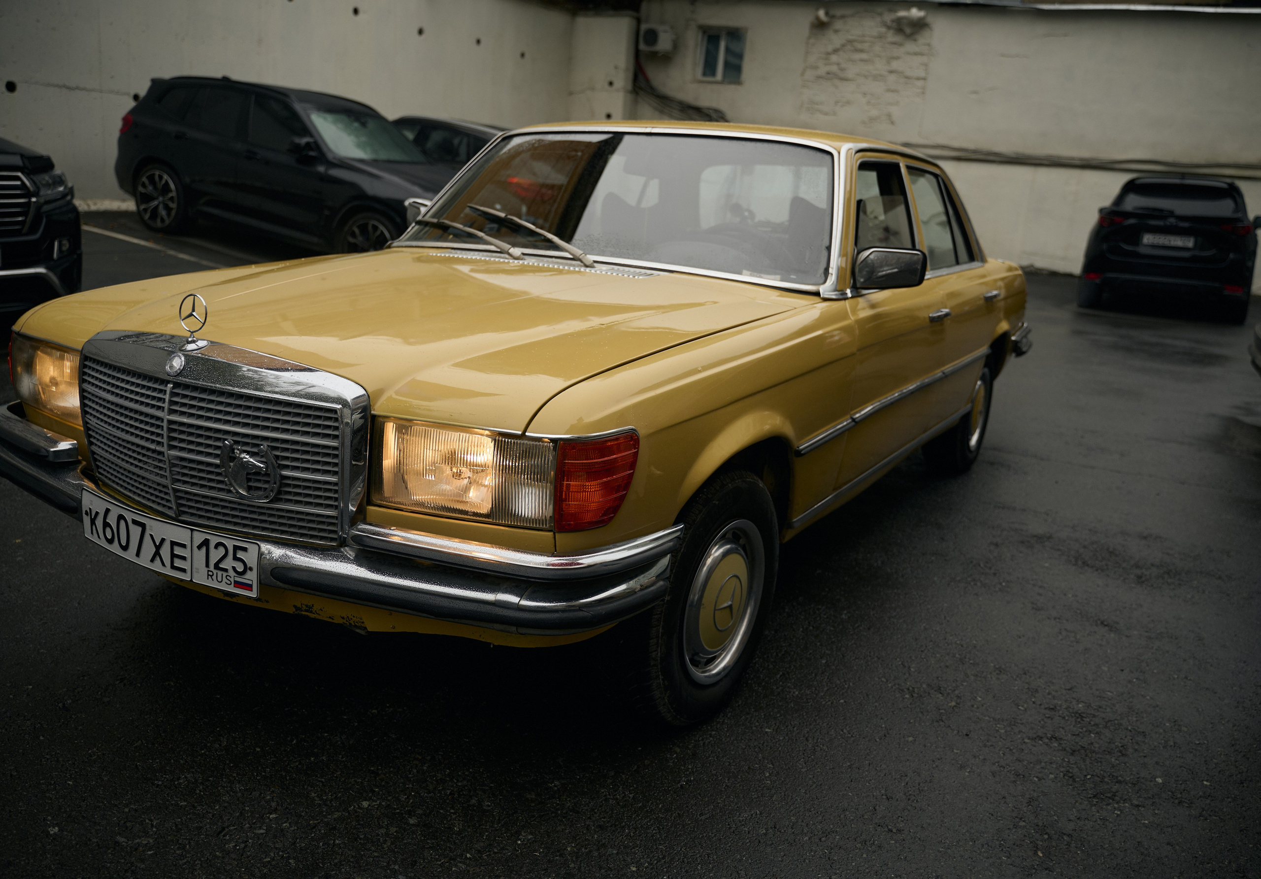 Свадьба 14.09.2024. Свадебный фотограф во Владивостоке Гарагуля Игорь