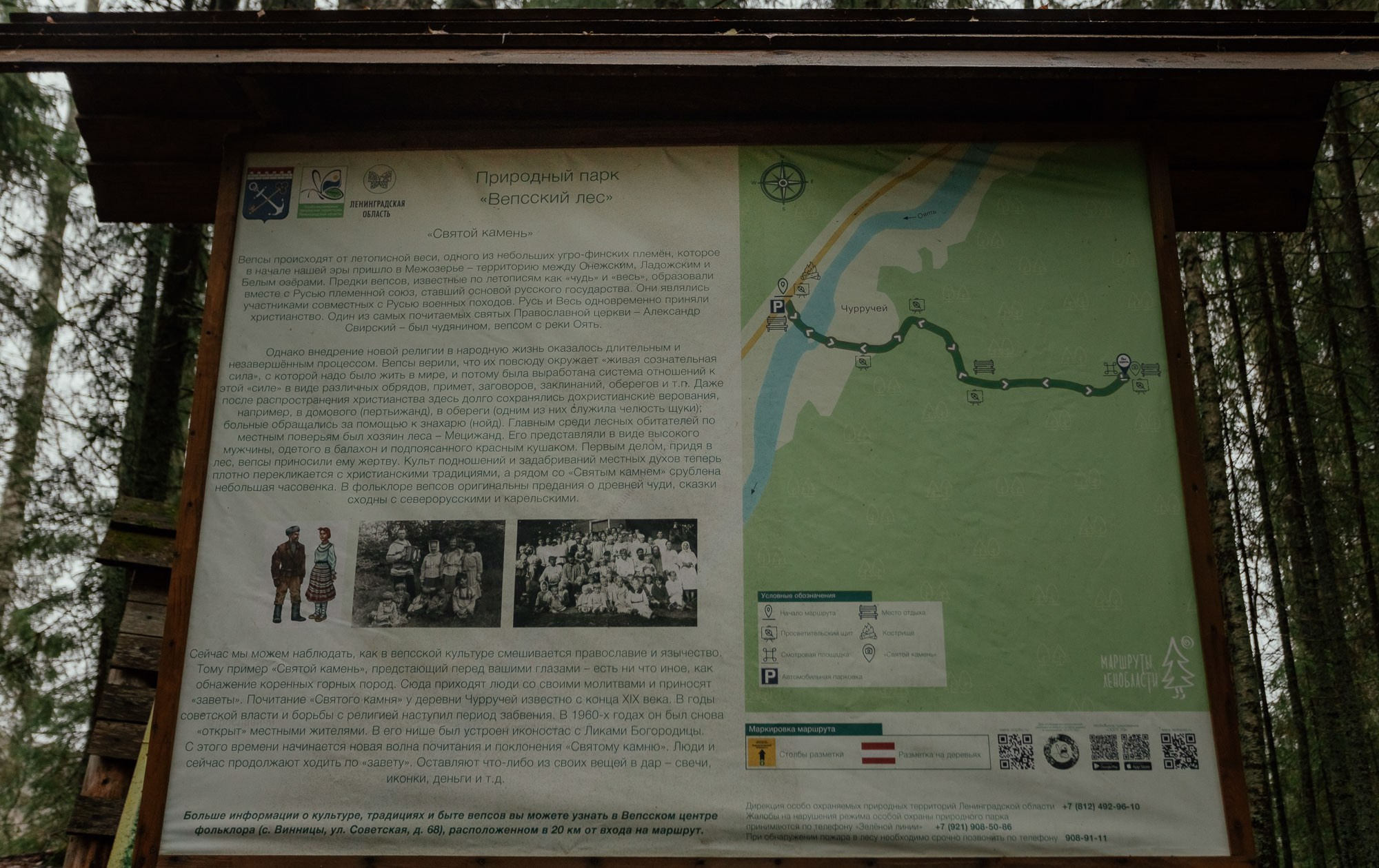 Поездка в вепсские деревни к «Лес и Ветер» 10-12.11.23. Портретный и свадебный фотограф в Санкт-Петербурге Ольга Филиппова