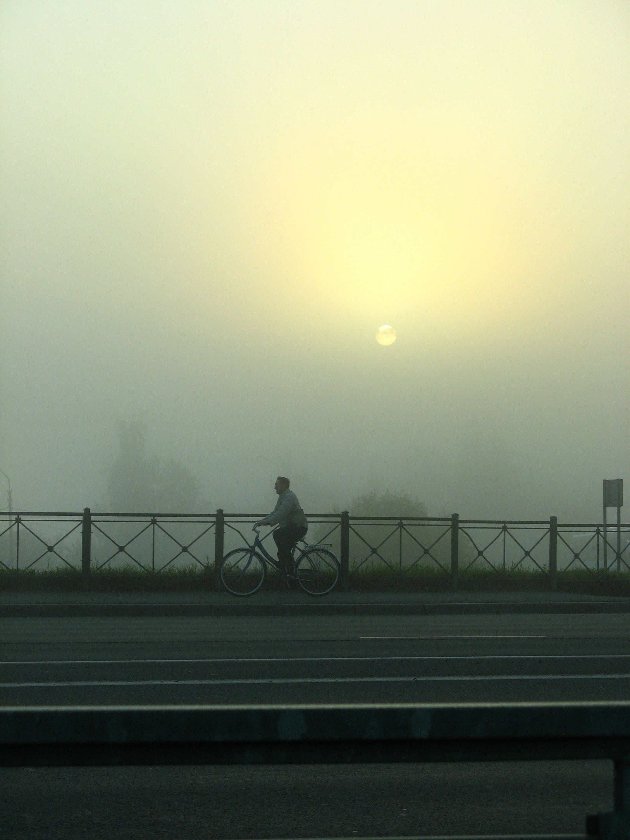 Август 2025. Den Mirov — Фотограф, Музыкант