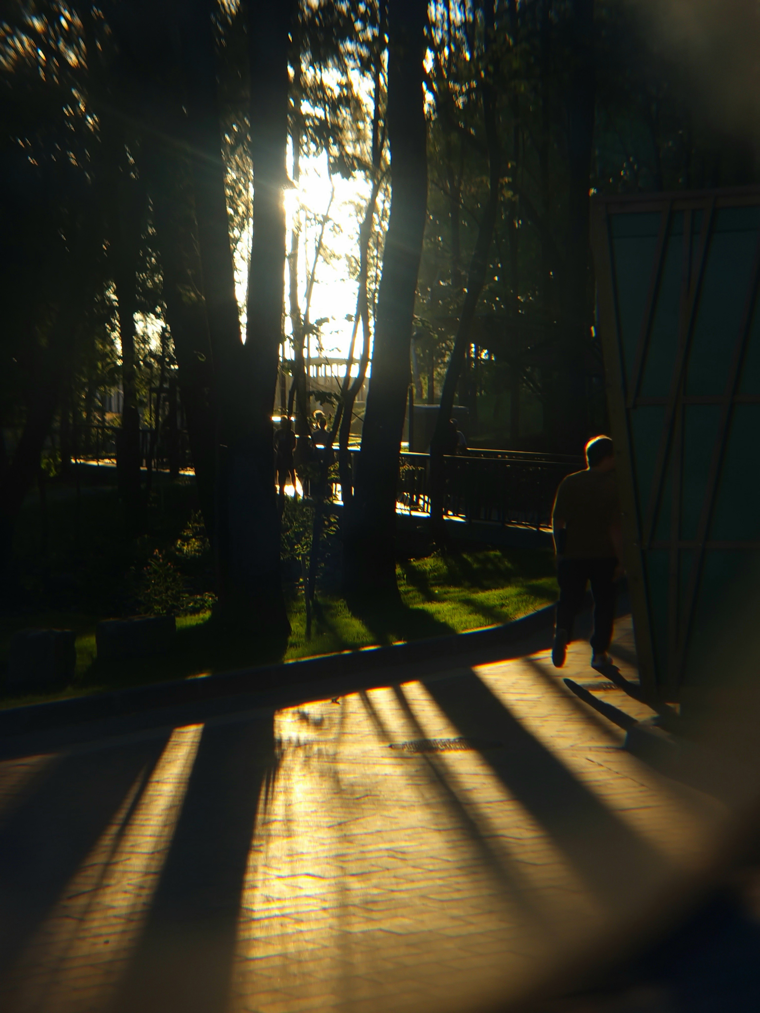 Август 2025. Den Mirov — Фотограф, Музыкант