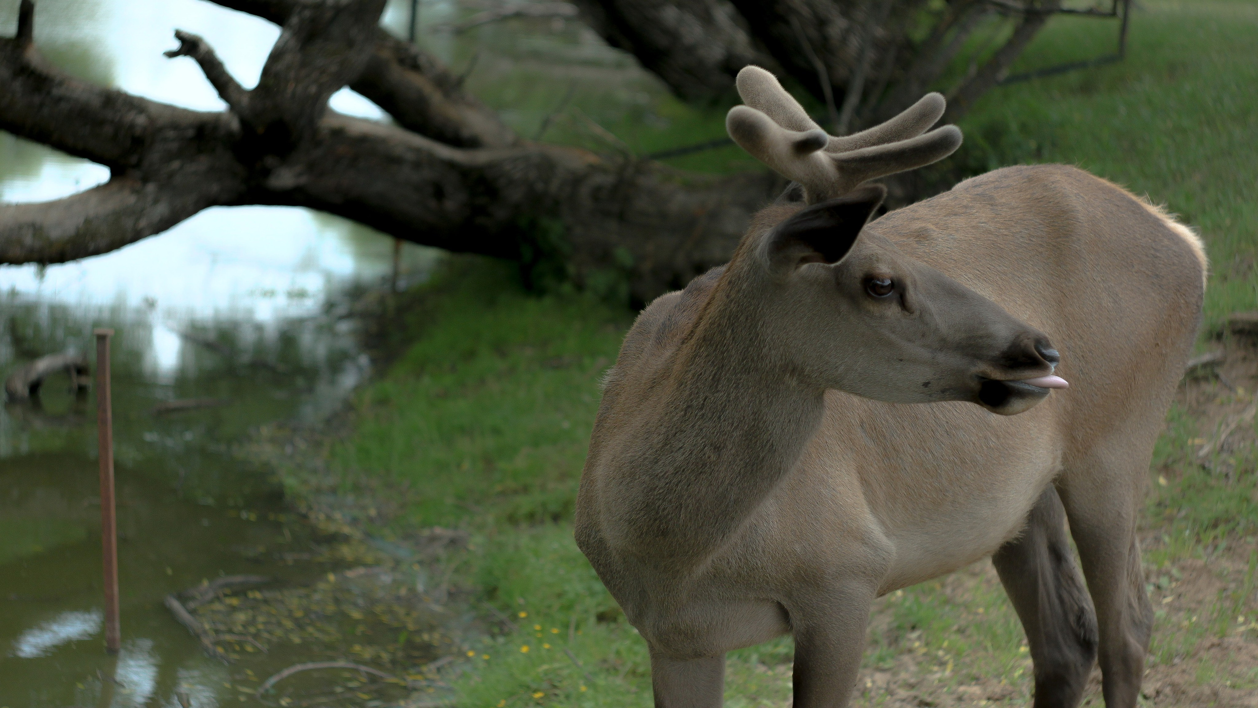 Эти волосы взял я у ржи. Портретный и художественный фотограф в Москве
