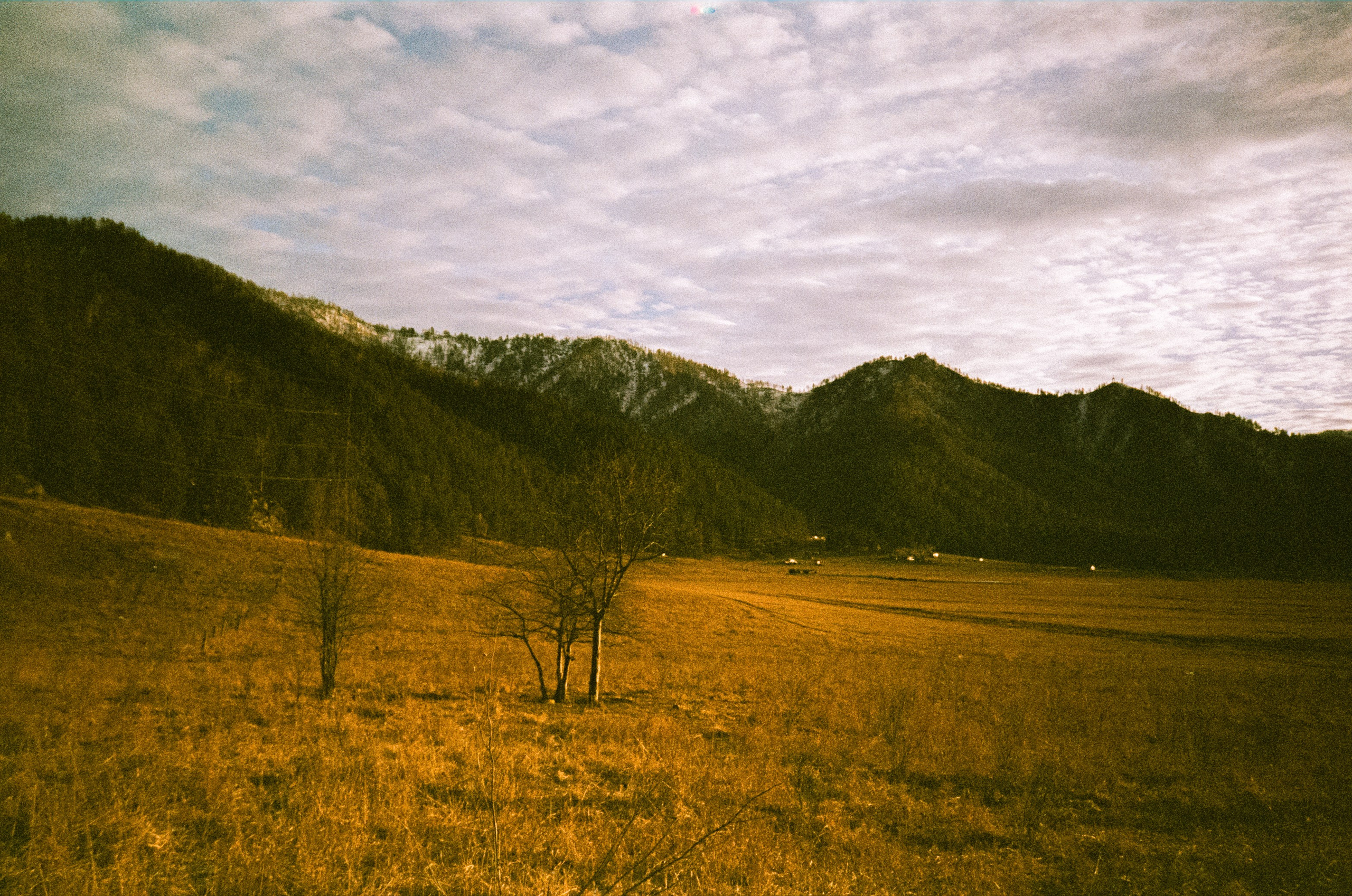Поле у вертолетной площадки в день зимнего солнцестояния / 22 декабря