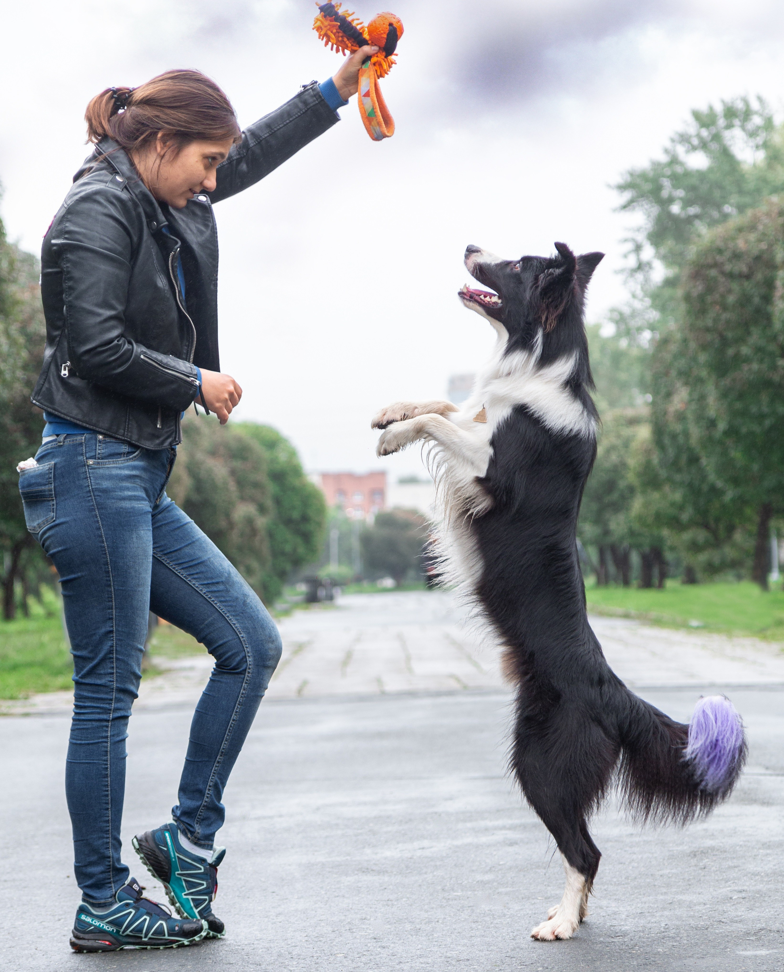 Фотосъёмка животных. Предметный и репортажный фотограф Алексей Кротов