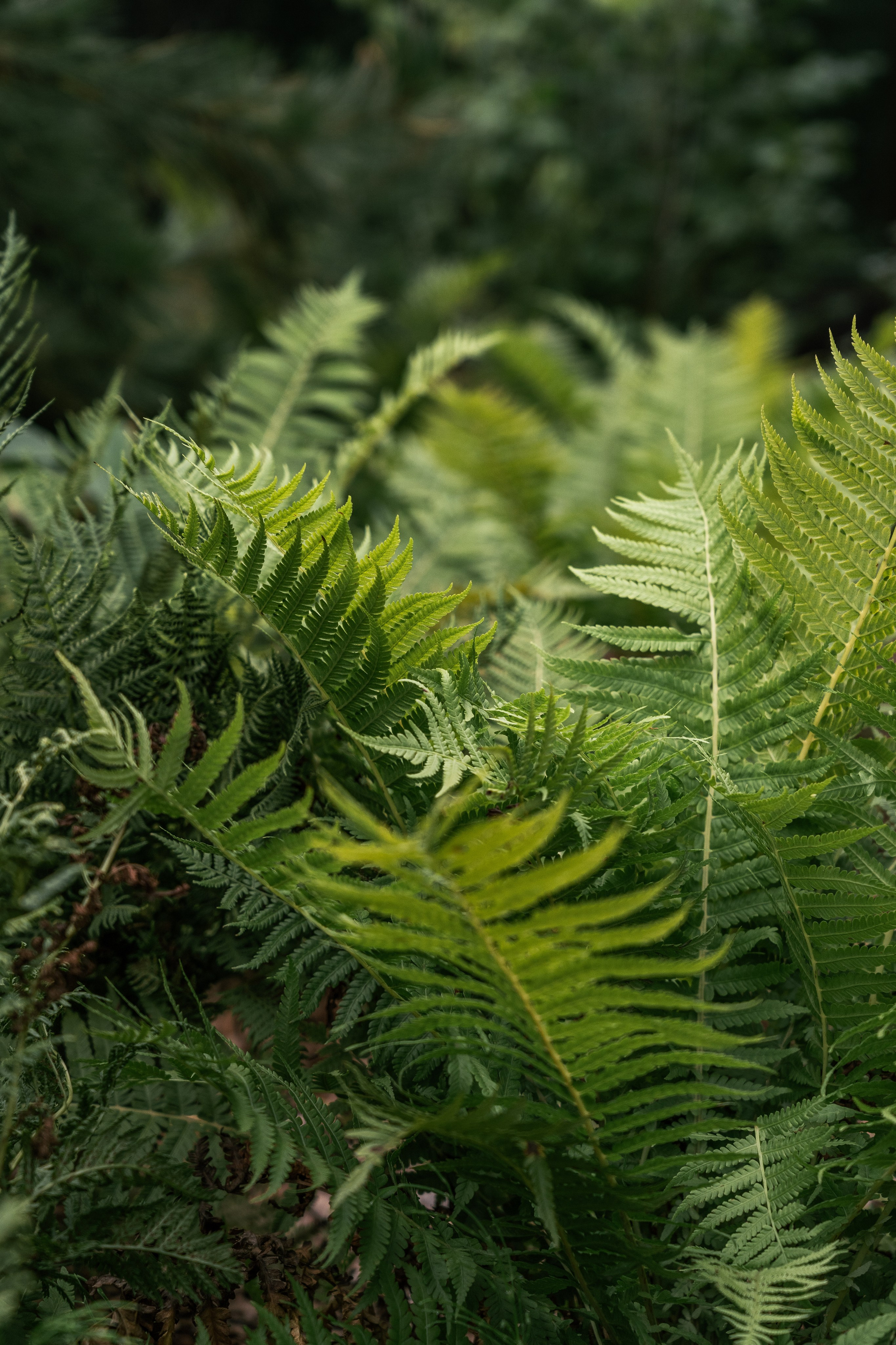 Private house, Moscow region. Артамонов Александр | Архитектурный и ландшафтный фотограф