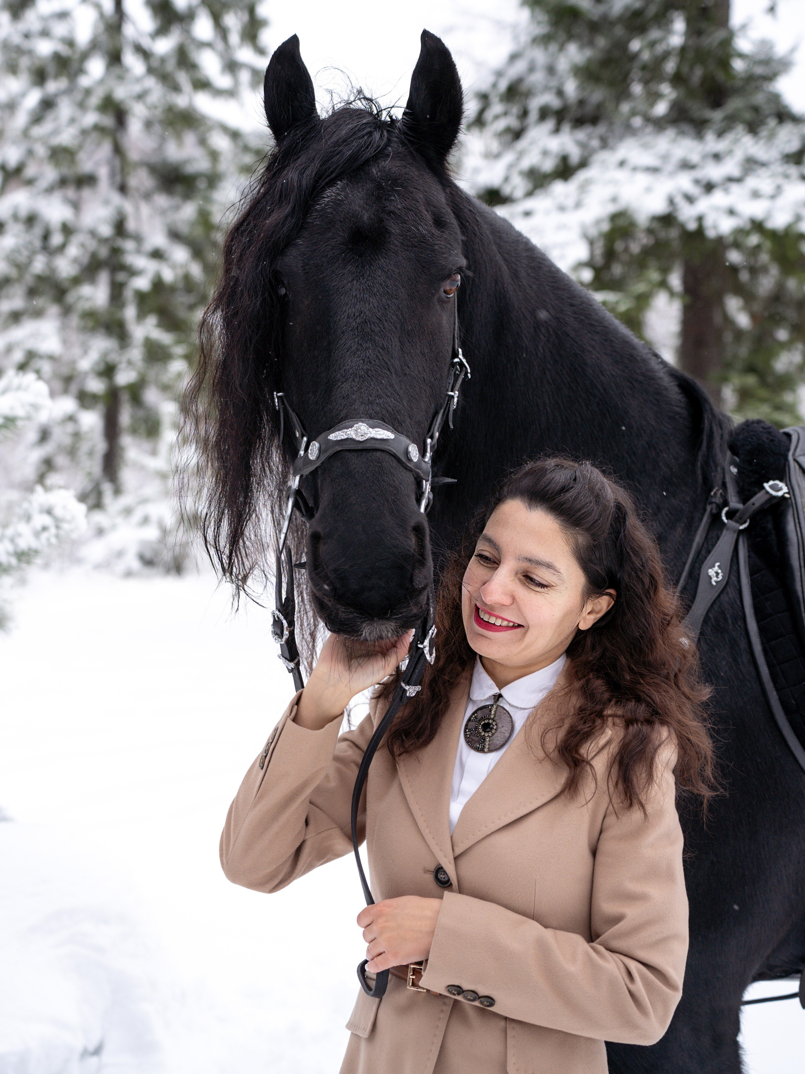 Лошадки зима. Фотограф Зинаида Евдокимова