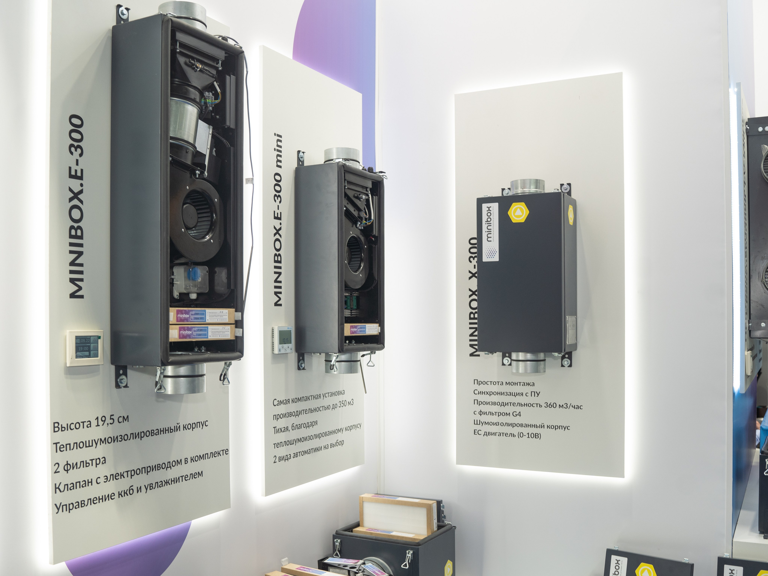 Крокус Вентиляция. Фотограф Зинаида Евдокимова