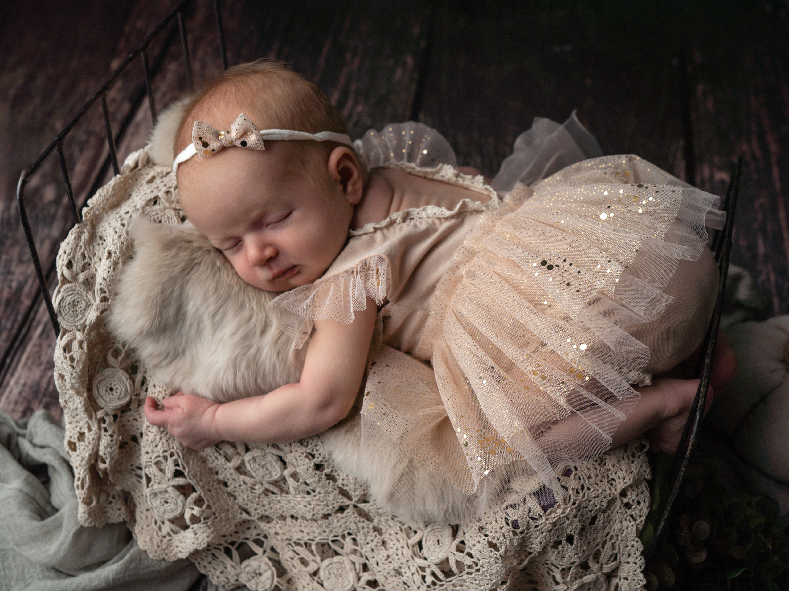 НьюБорн Алиса. Фотограф Зинаида Евдокимова