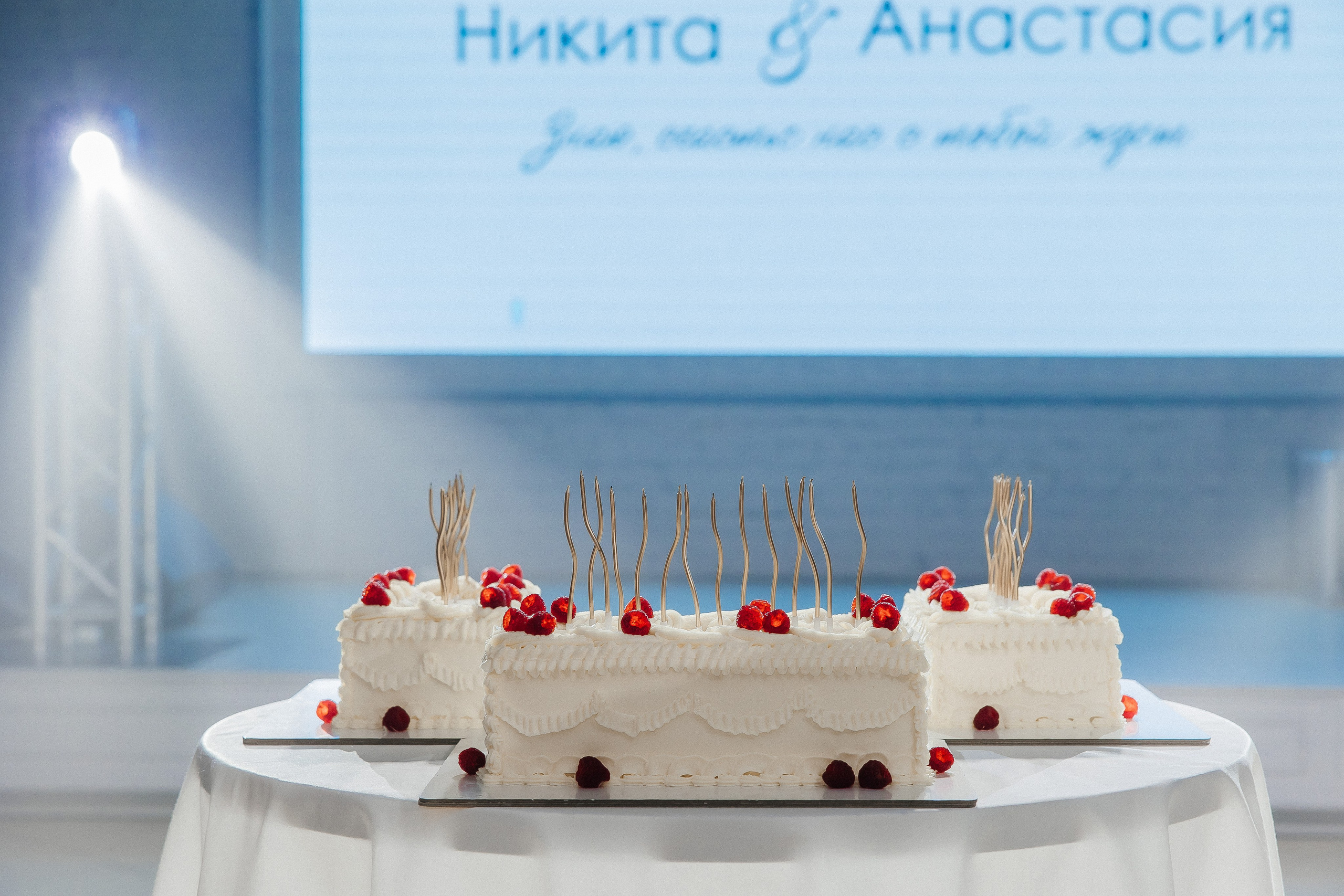 Никита и Анастасия. Свадебный и семейный фотограф.Екатерина Булич. Красноярск