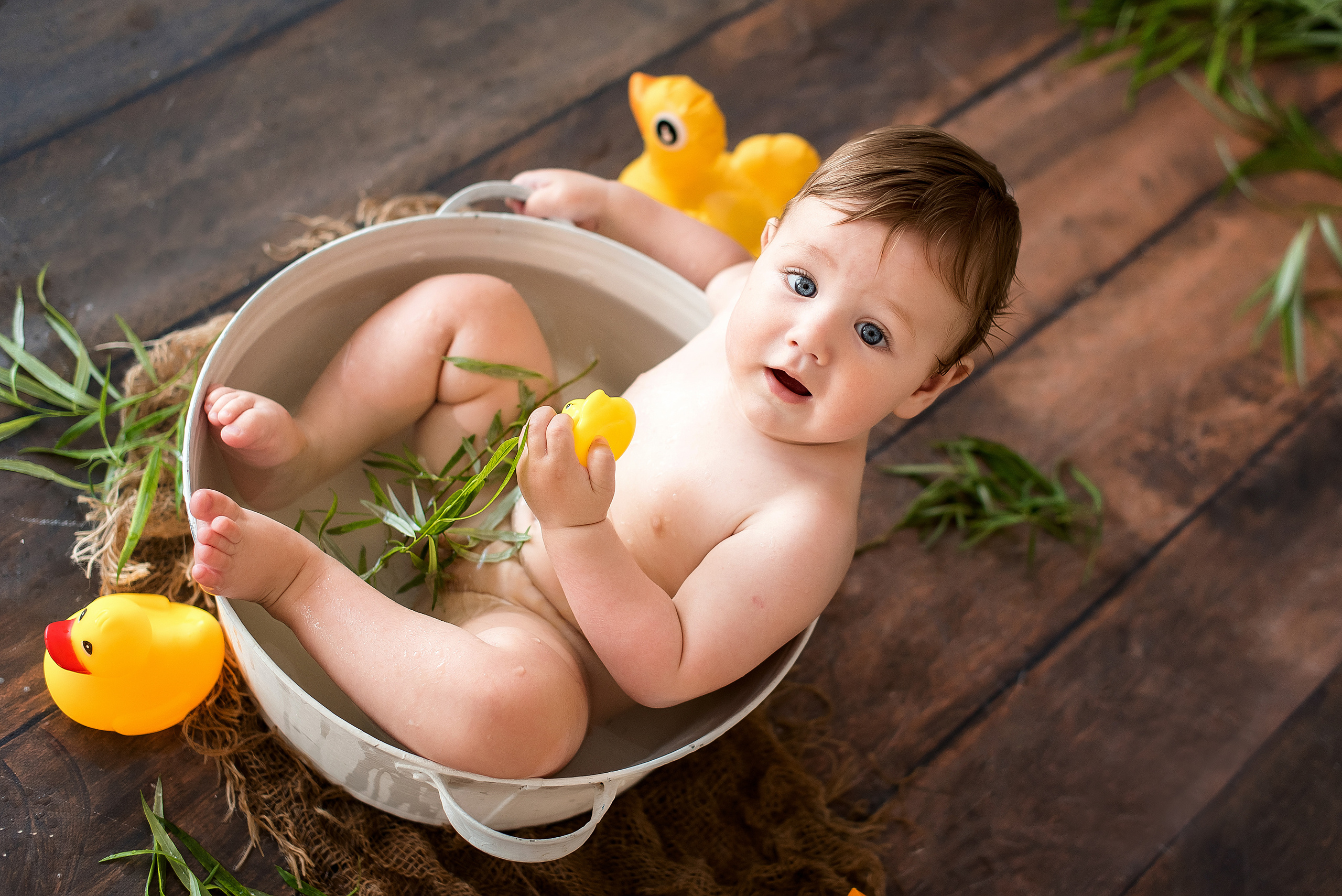 Купашки. Фотограф Каменск-Уральский Алена Обвинцева (фото новорожденных, в ожид