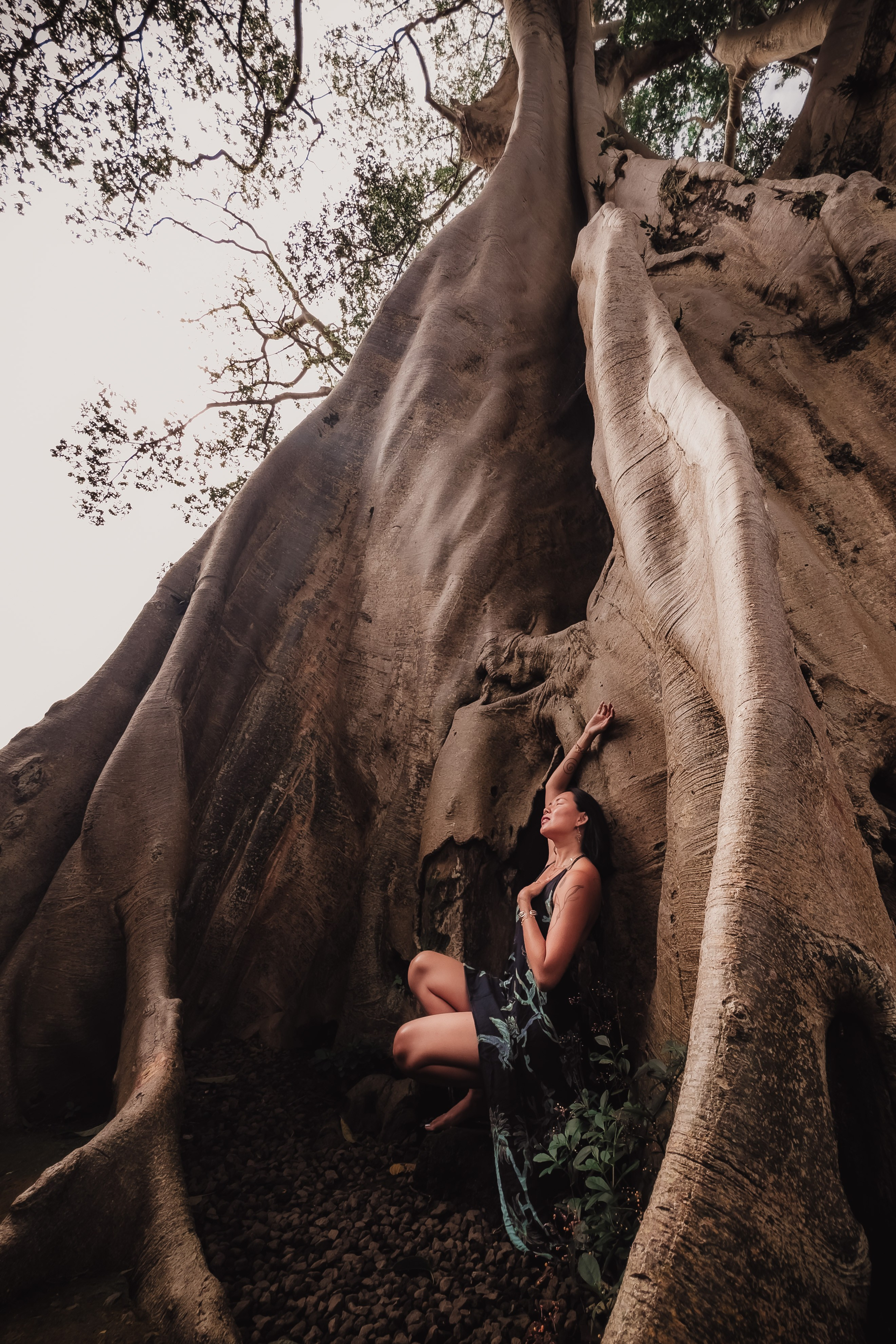 Banyan date. Mariam Bagdasaryan
