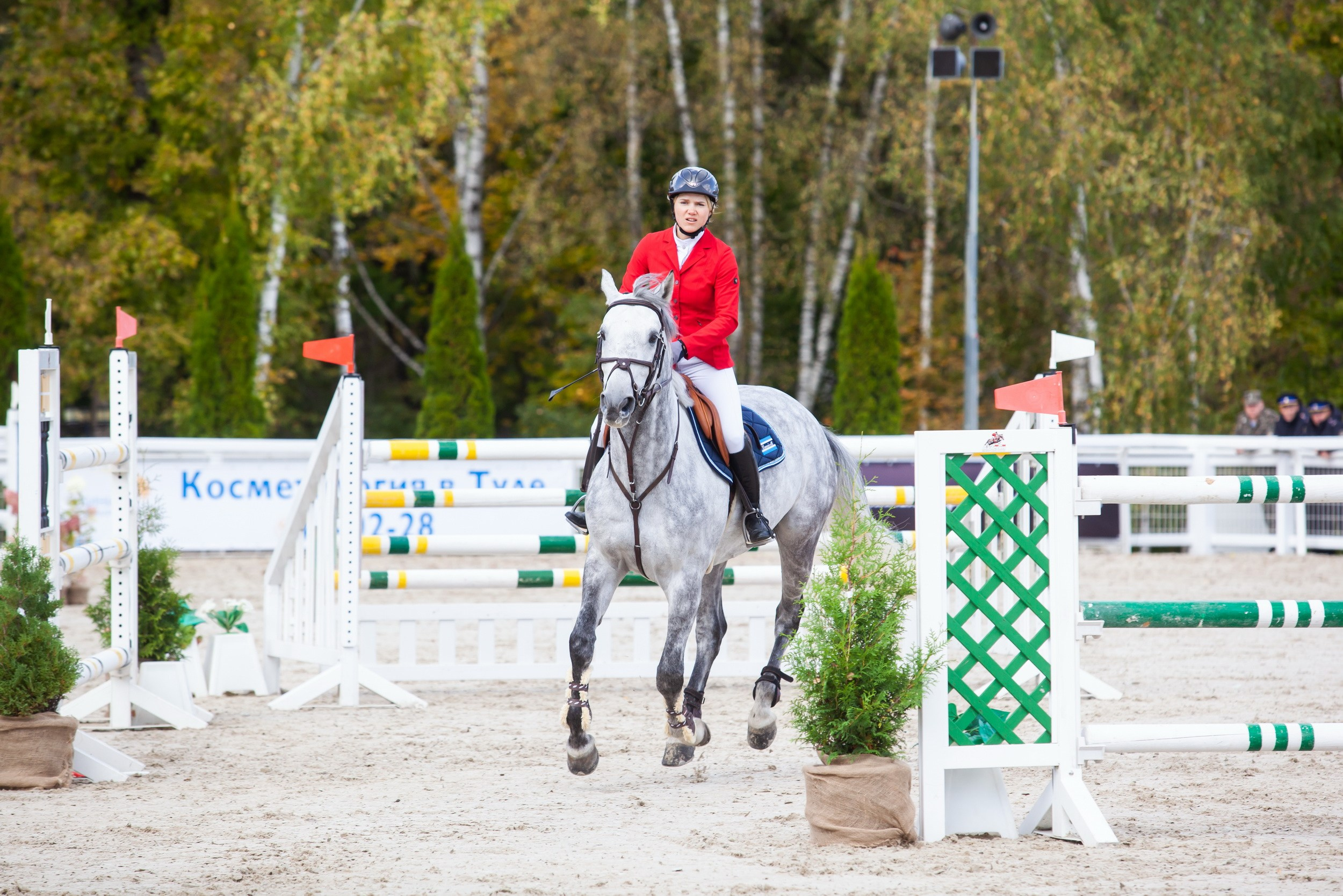 Кубок Губернатора по конкуру (21 сентября 2019). Репортажный фотограф Алексей Пирязев