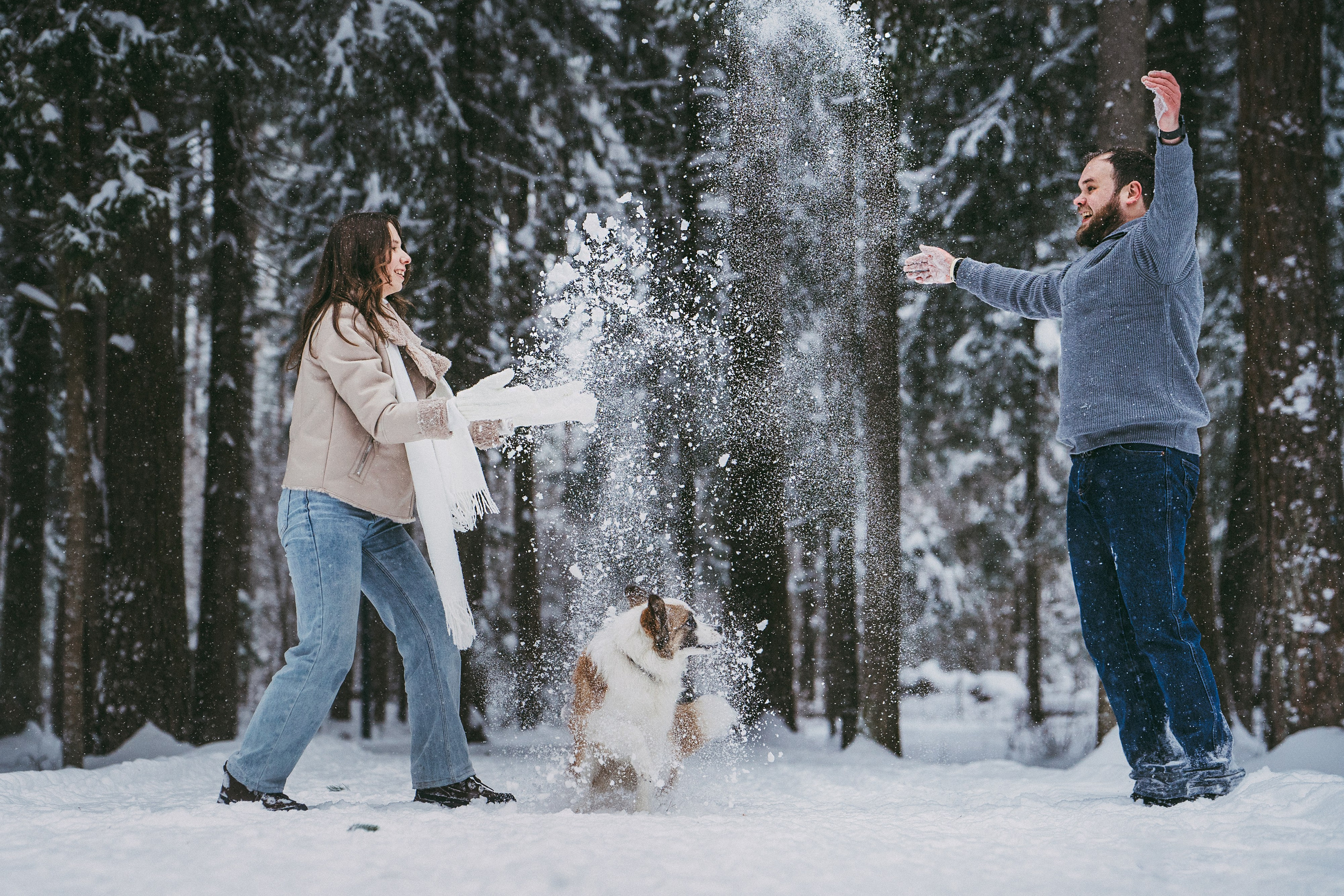 Катя, Анатолий и Елай. Фотограф анималист в Москве и Санкт-Петербурге Свиридова Анна