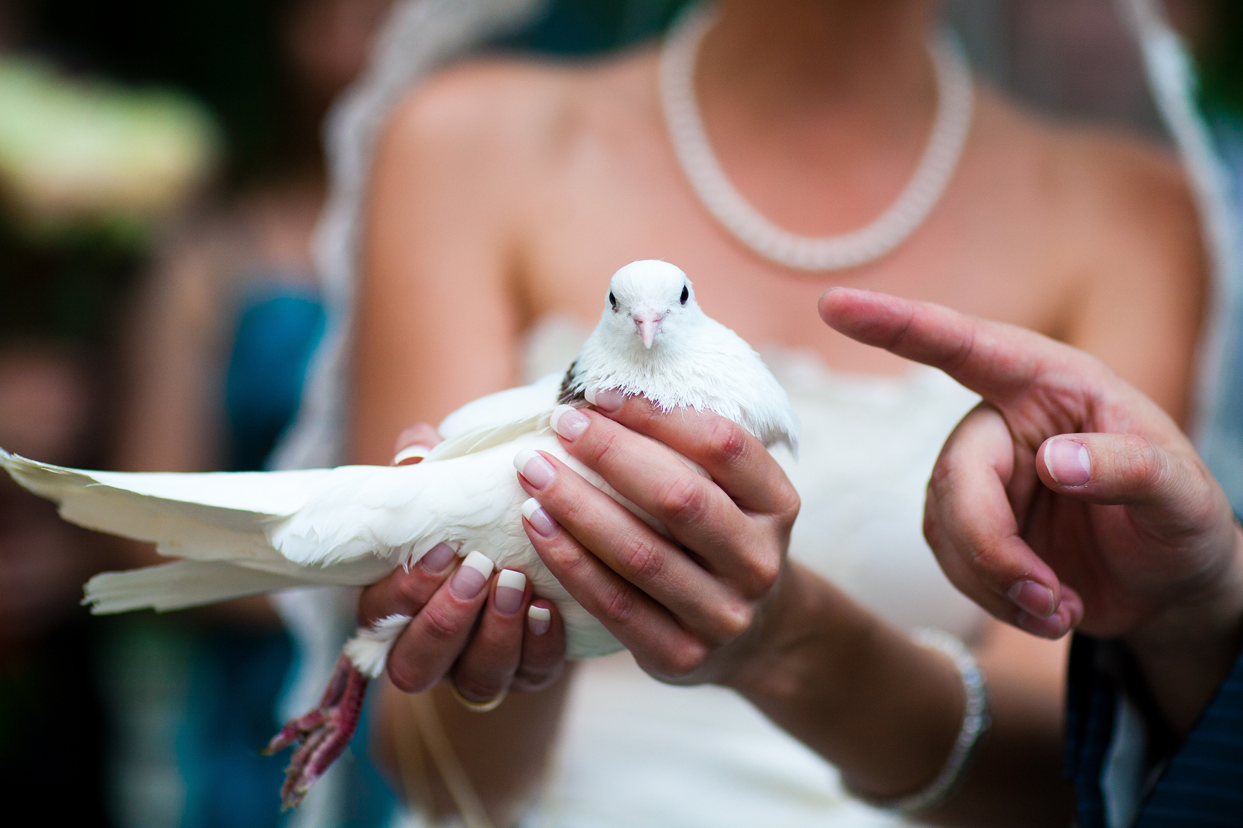 Алексей и Анастасия. Свадебный фотограф в Москве Никифоров-Гордеев Константин