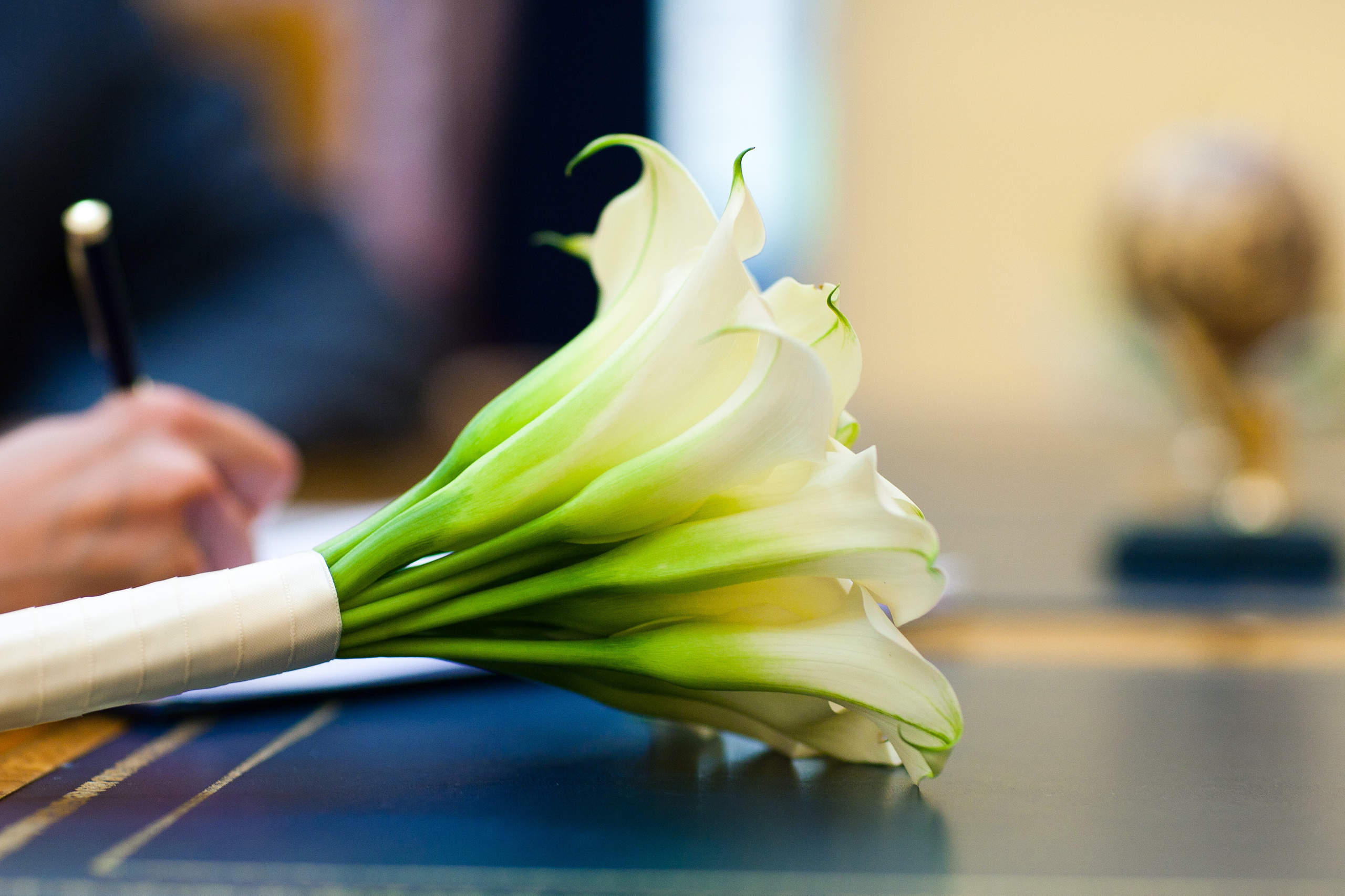 Алексей и Анастасия. Свадебный фотограф в Москве Никифоров-Гордеев Константин