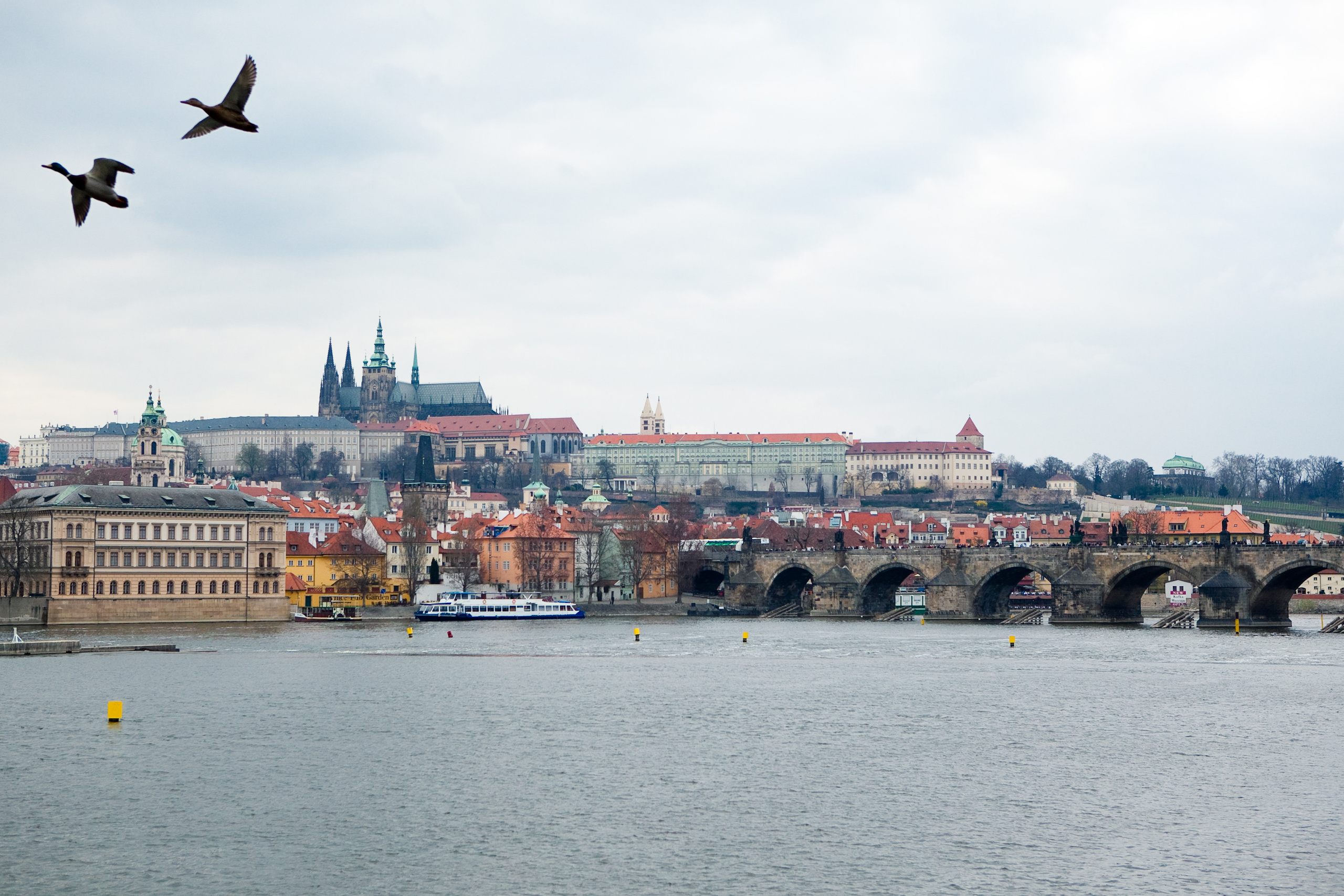 Прага. Свадебный фотограф в Москве Никифоров-Гордеев Константин
