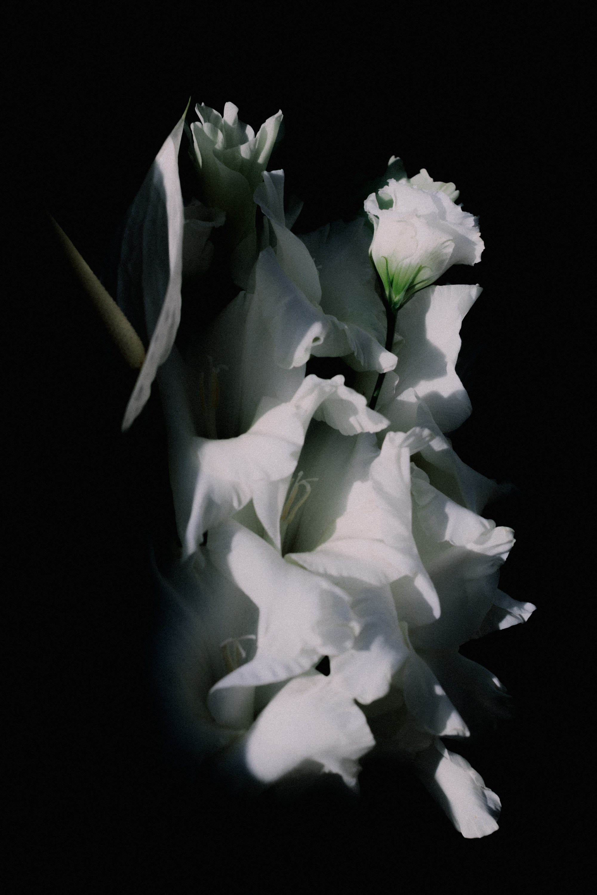 Юля и Егор. Репортажный и портретный фотограф во Владимире Сергей Кравцов