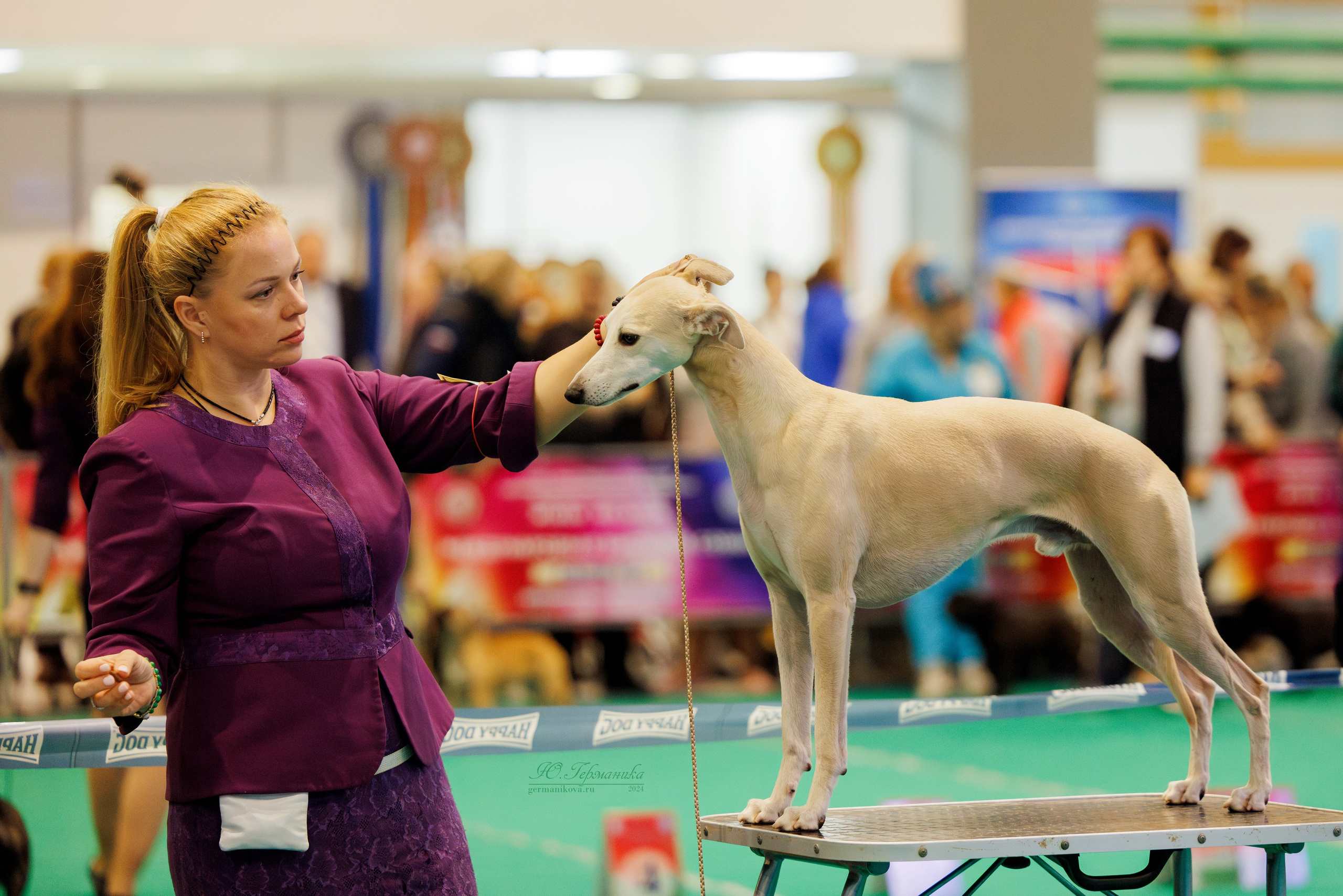 Минск 23.11.2024. Фотограф-анималист Юлия Германика