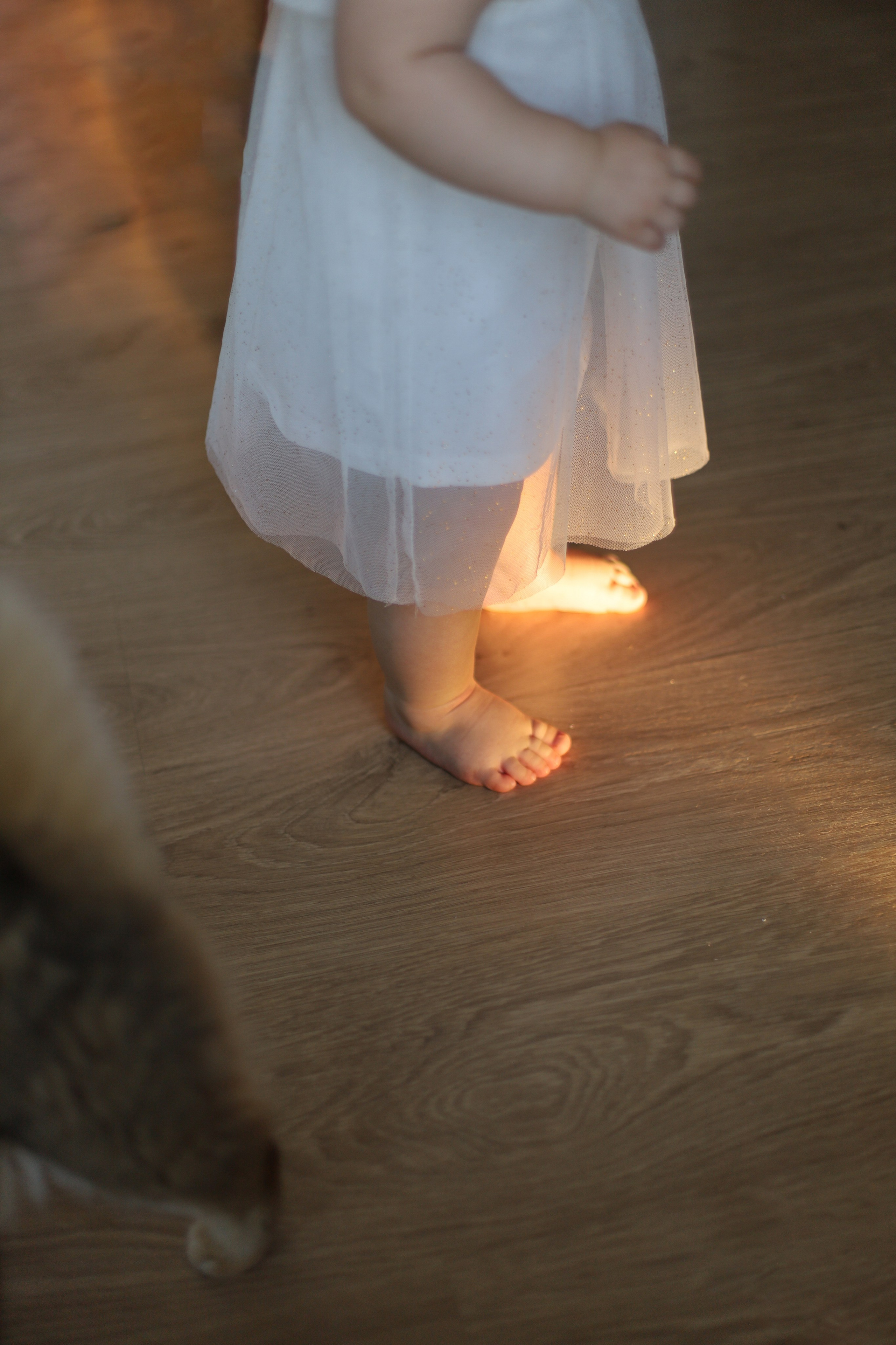 Годовасие. Семейный и детский фотограф в Санкт-Петербурге «Chilik»