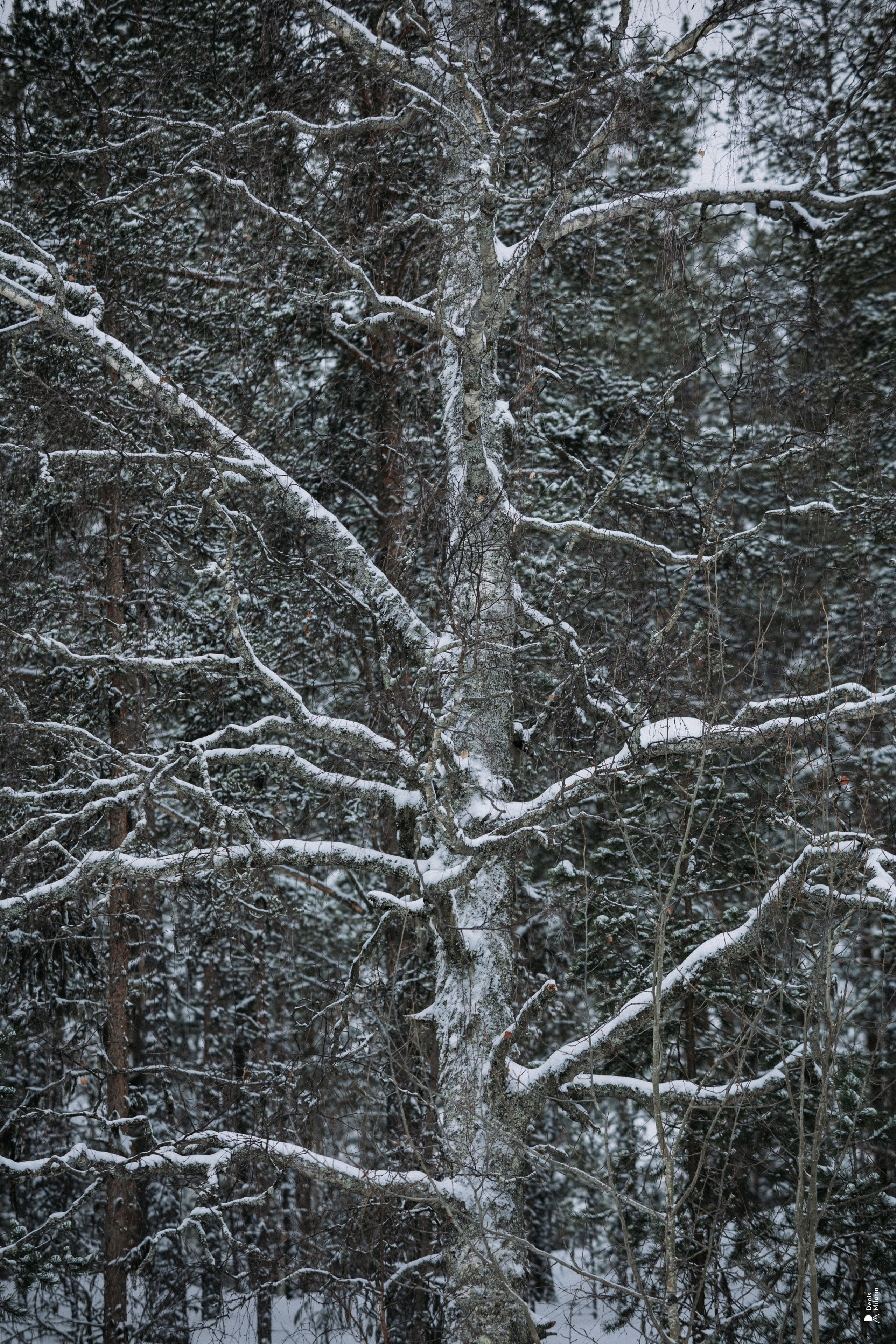 Прогулка по озеру. Портретный фотограф Денис Милютин