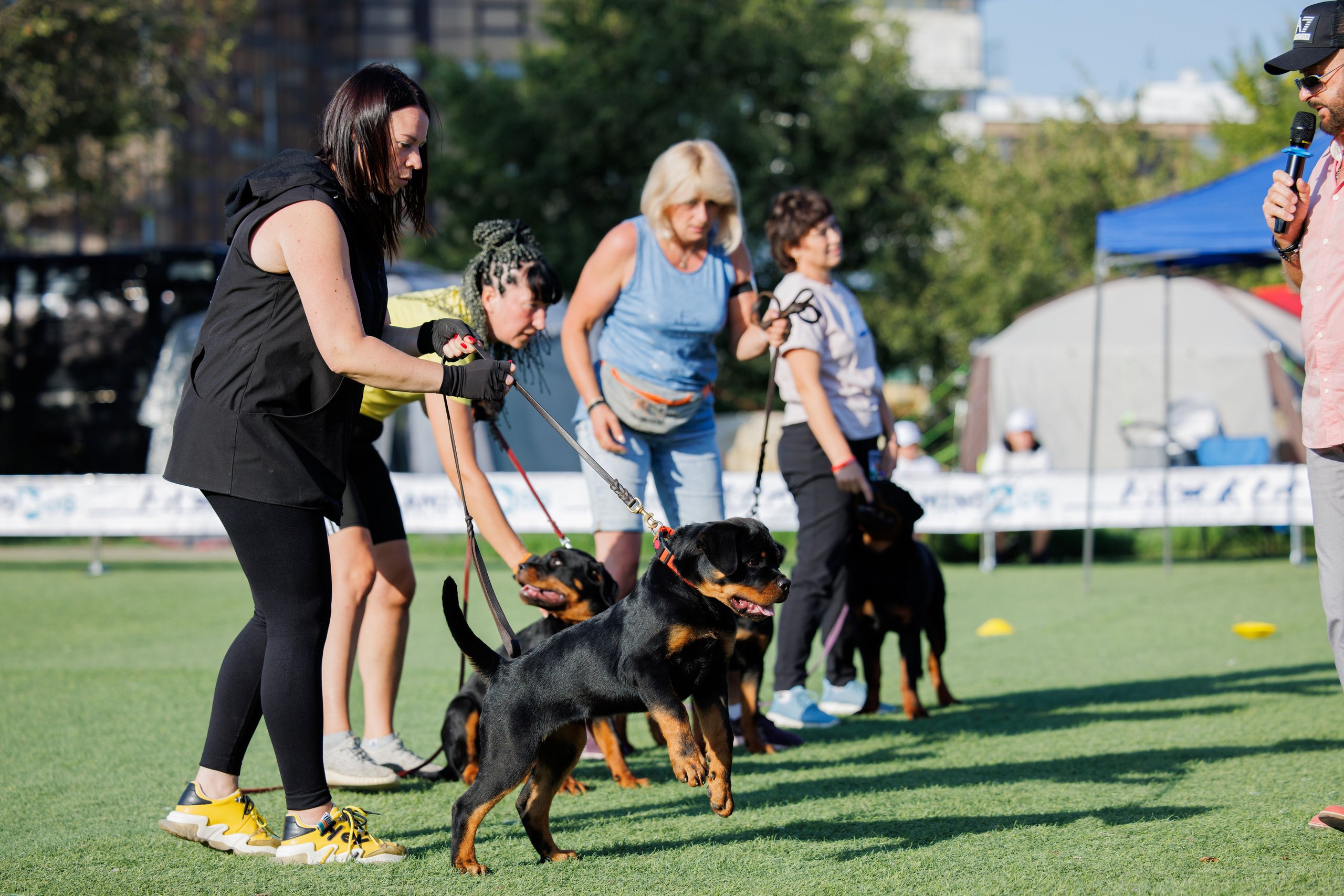 Анапа ротвейлеры 14-15.09.2024. Фотограф-анималист Юлия Германика
