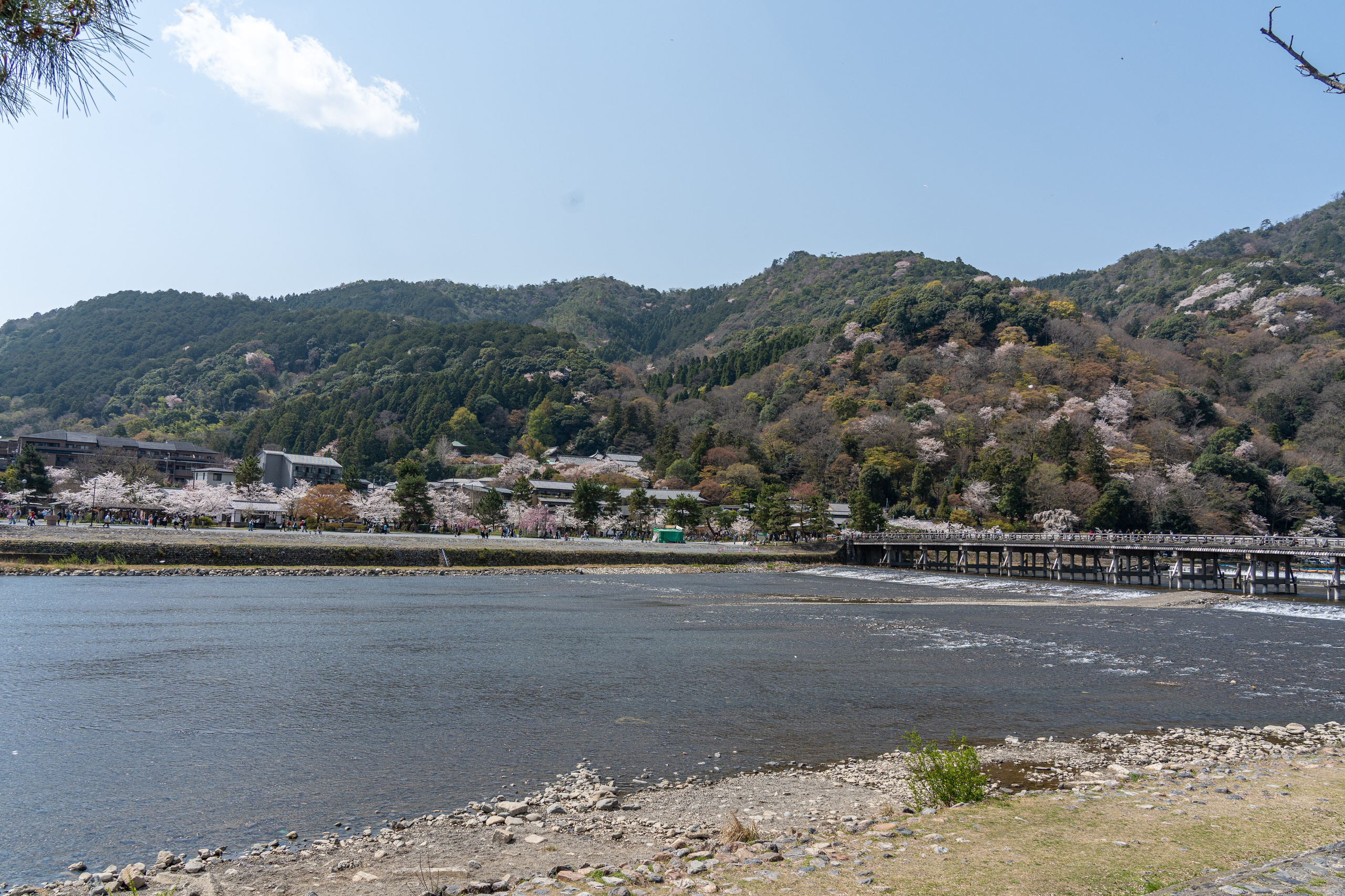 Япония, сакура. Творческие сьемки