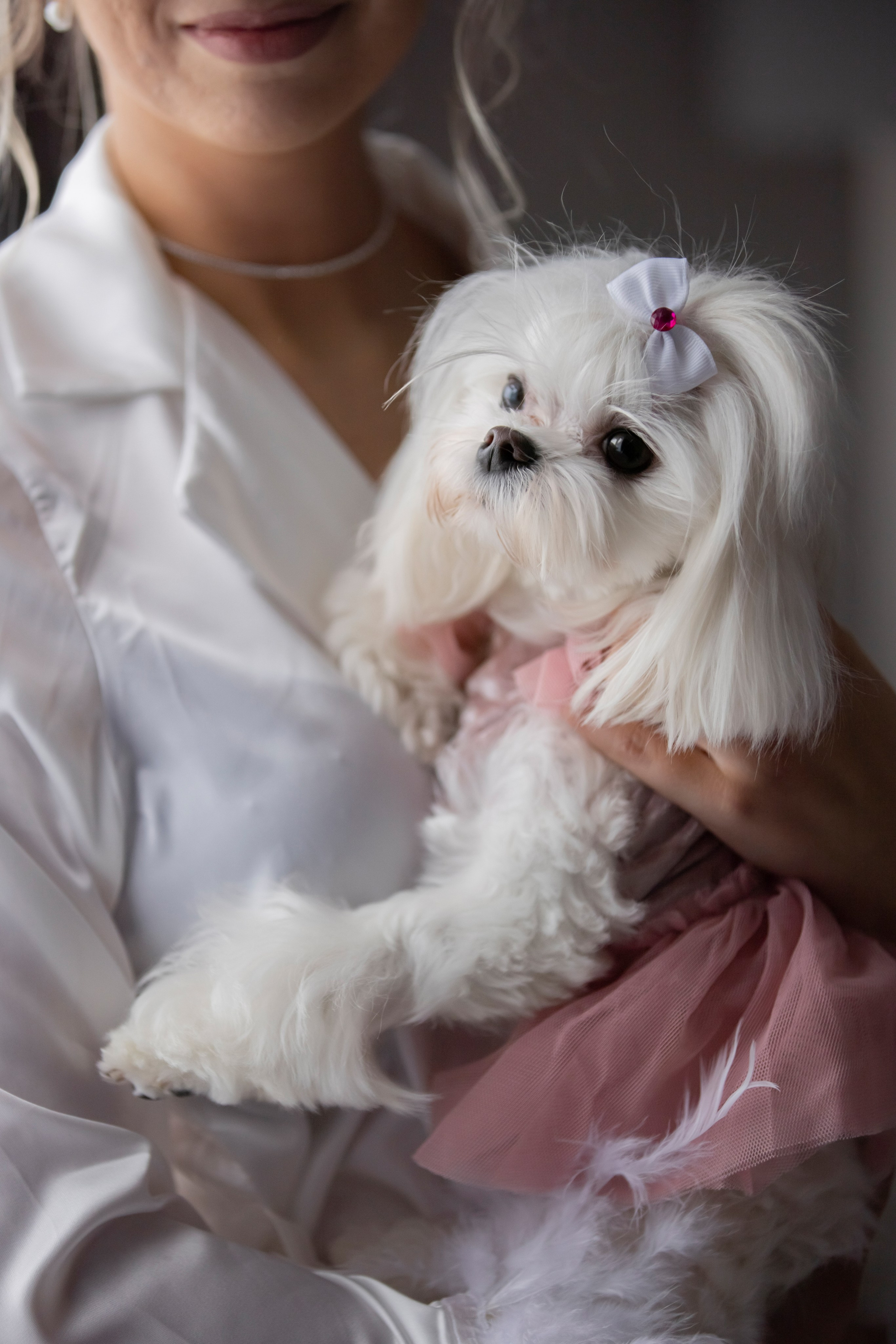 Виктория и Илья. Свадебный фотограф Иван Петров