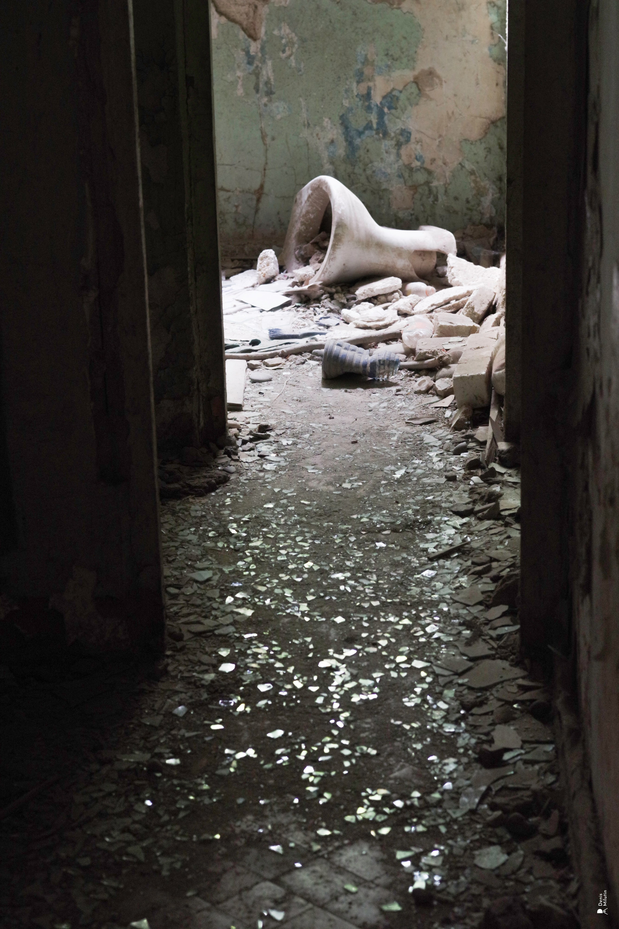 В отпуске с Артёмом. Портретный фотограф Денис Милютин