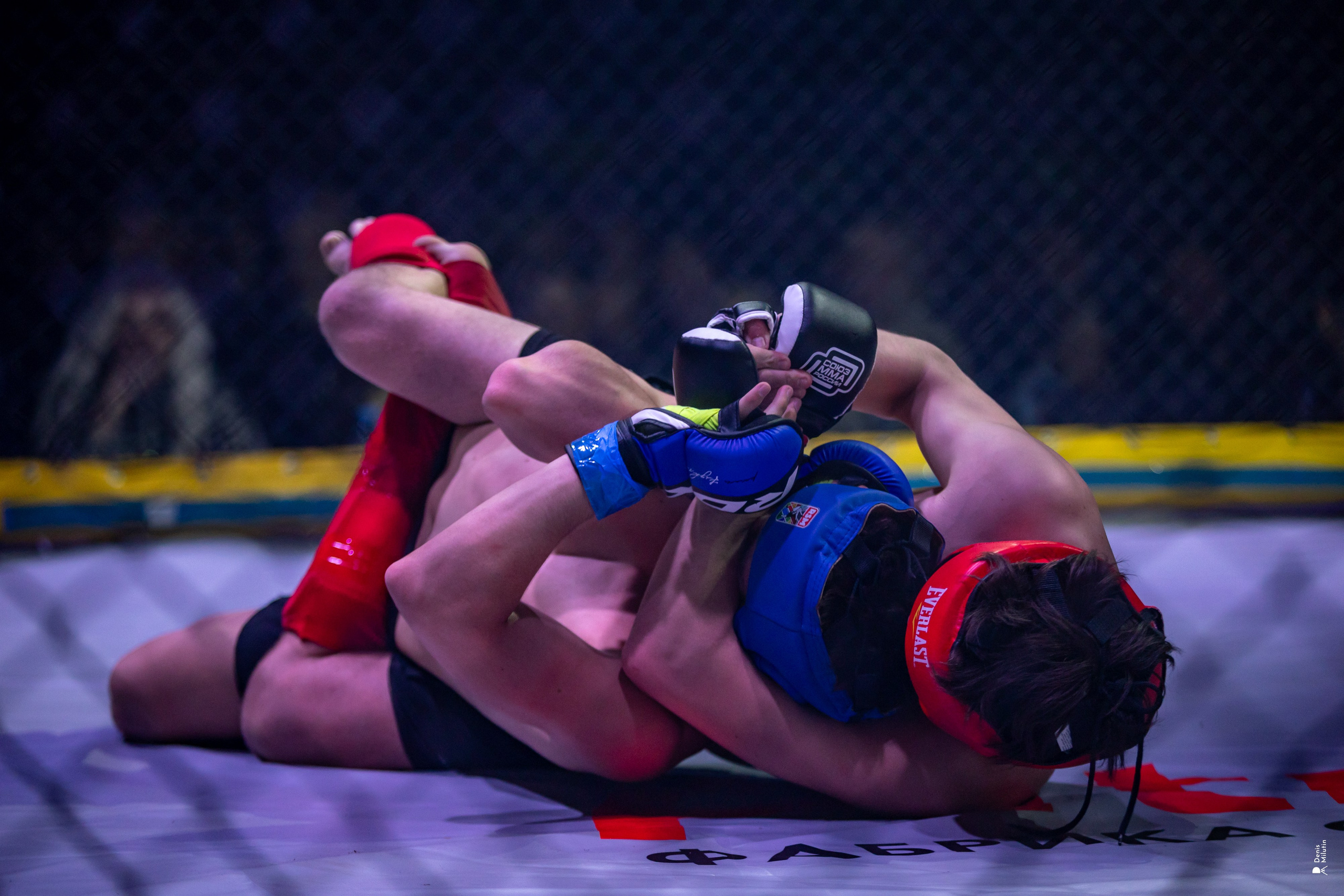 Бои в клетке «Северный Воин». Портретный фотограф Денис Милютин