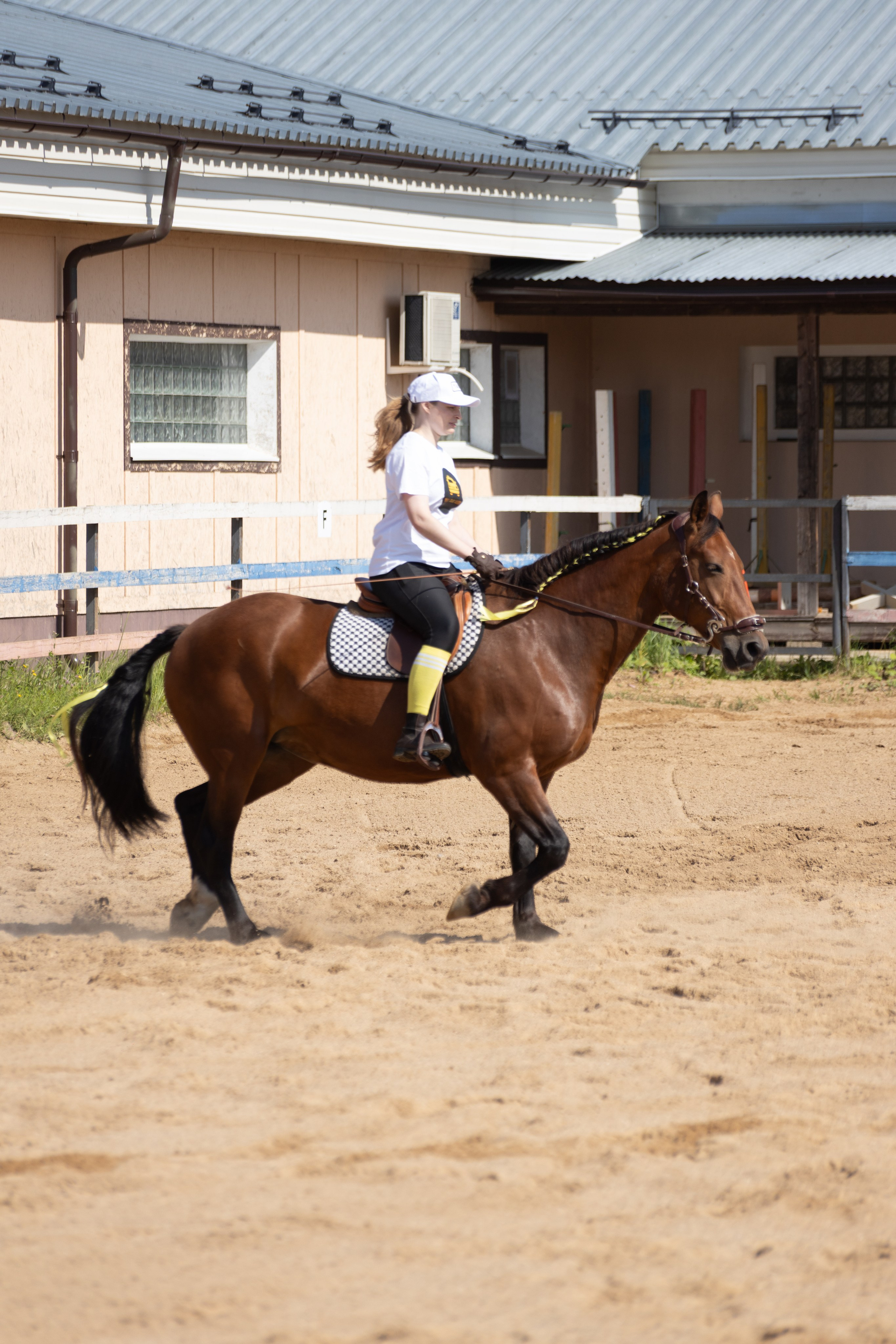 Конюшня. Фотограф в Москве и Истре
