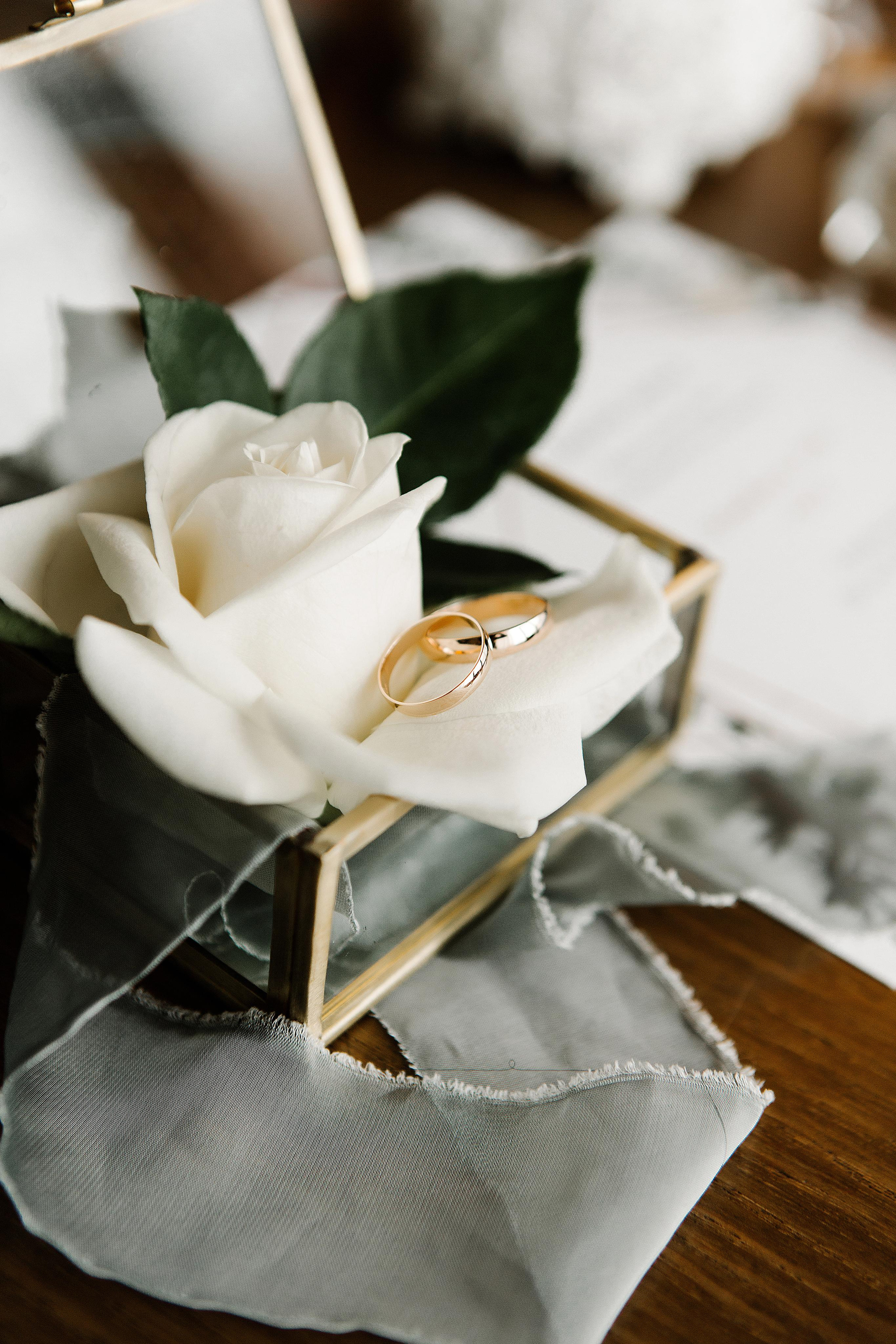 V&M. Пушистая Сова - Свадебный и портретный фотограф Воронеж, Москва, Питер