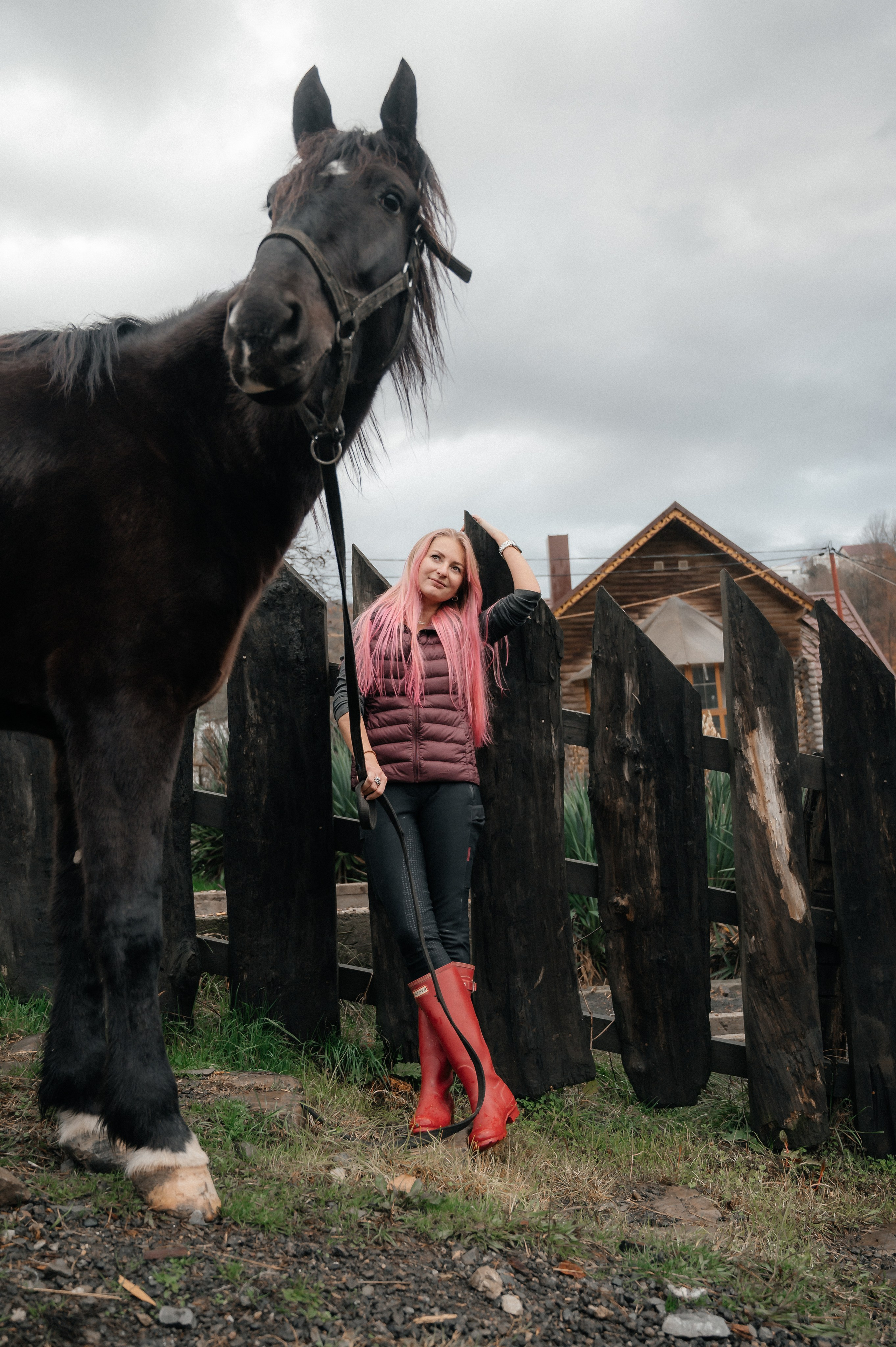 Из Швейцарии на конюшню в Сочи. Фотограф Сергей Суслов | Сочи