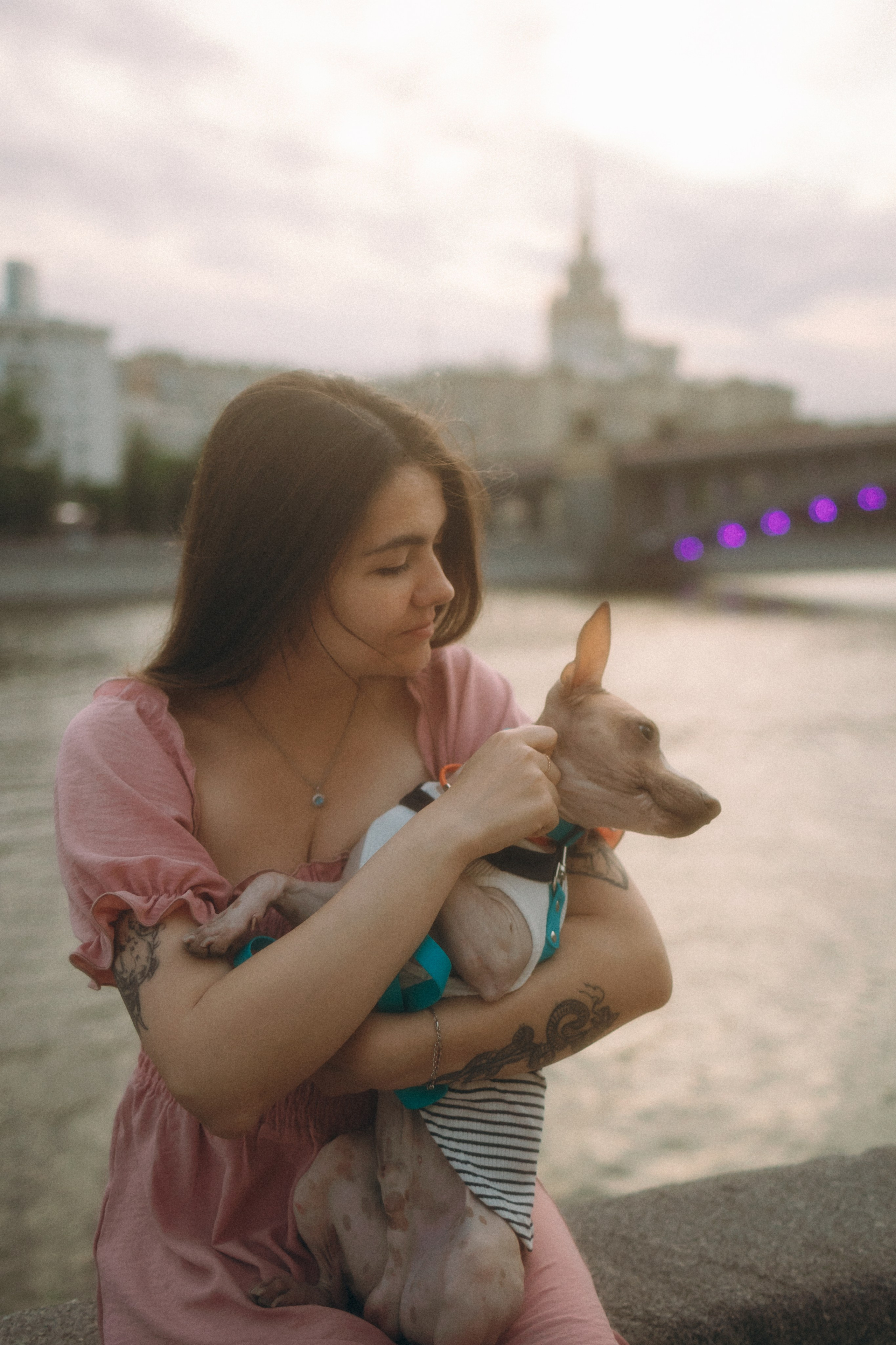 Глаша, Айрон, Ксюша и Оля. Фотограф анималист Анастасия Пикей